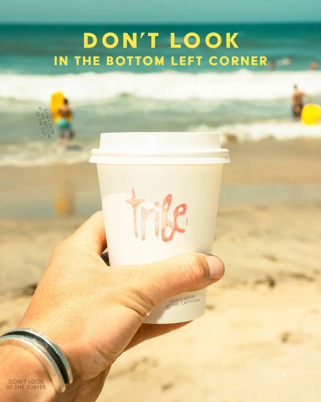 Do NOT check the pinned comment.