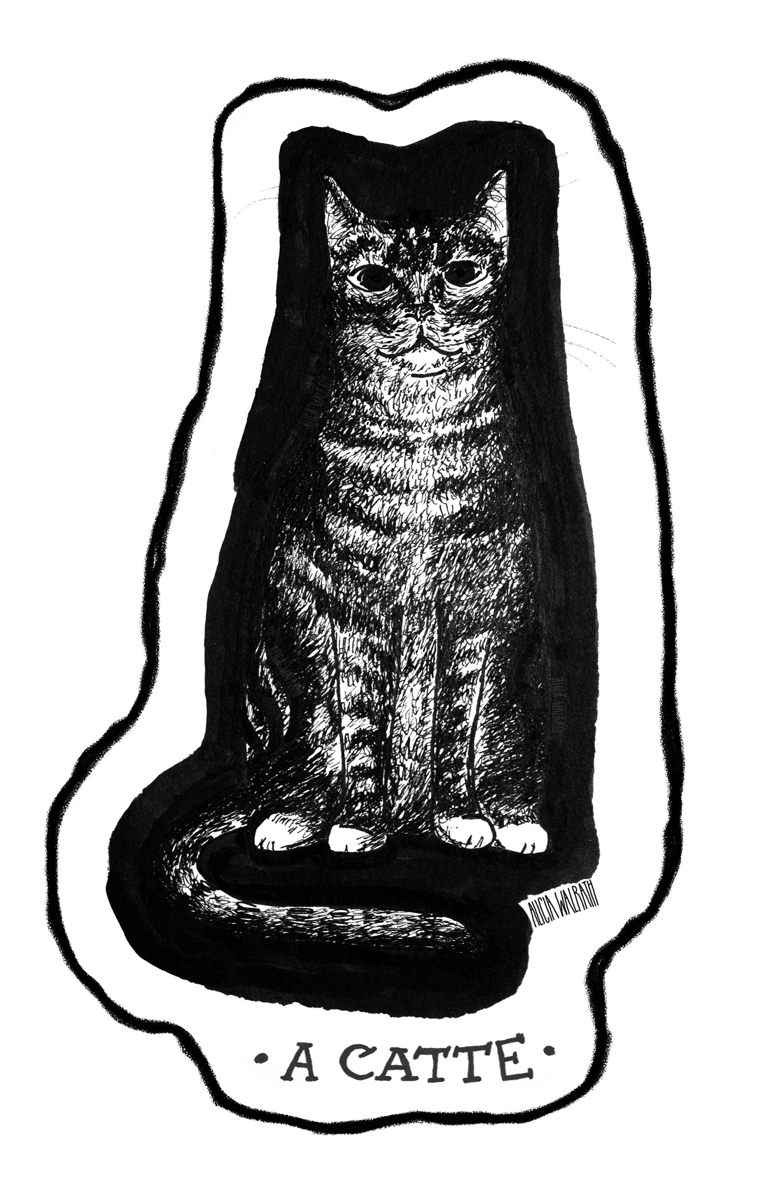 acatte.jpg