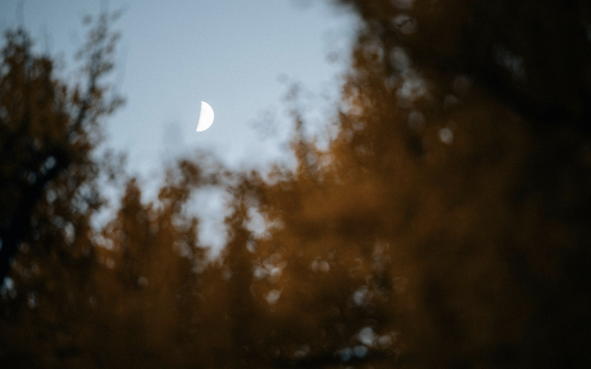 How Sun and Moon Light Shape Your Health