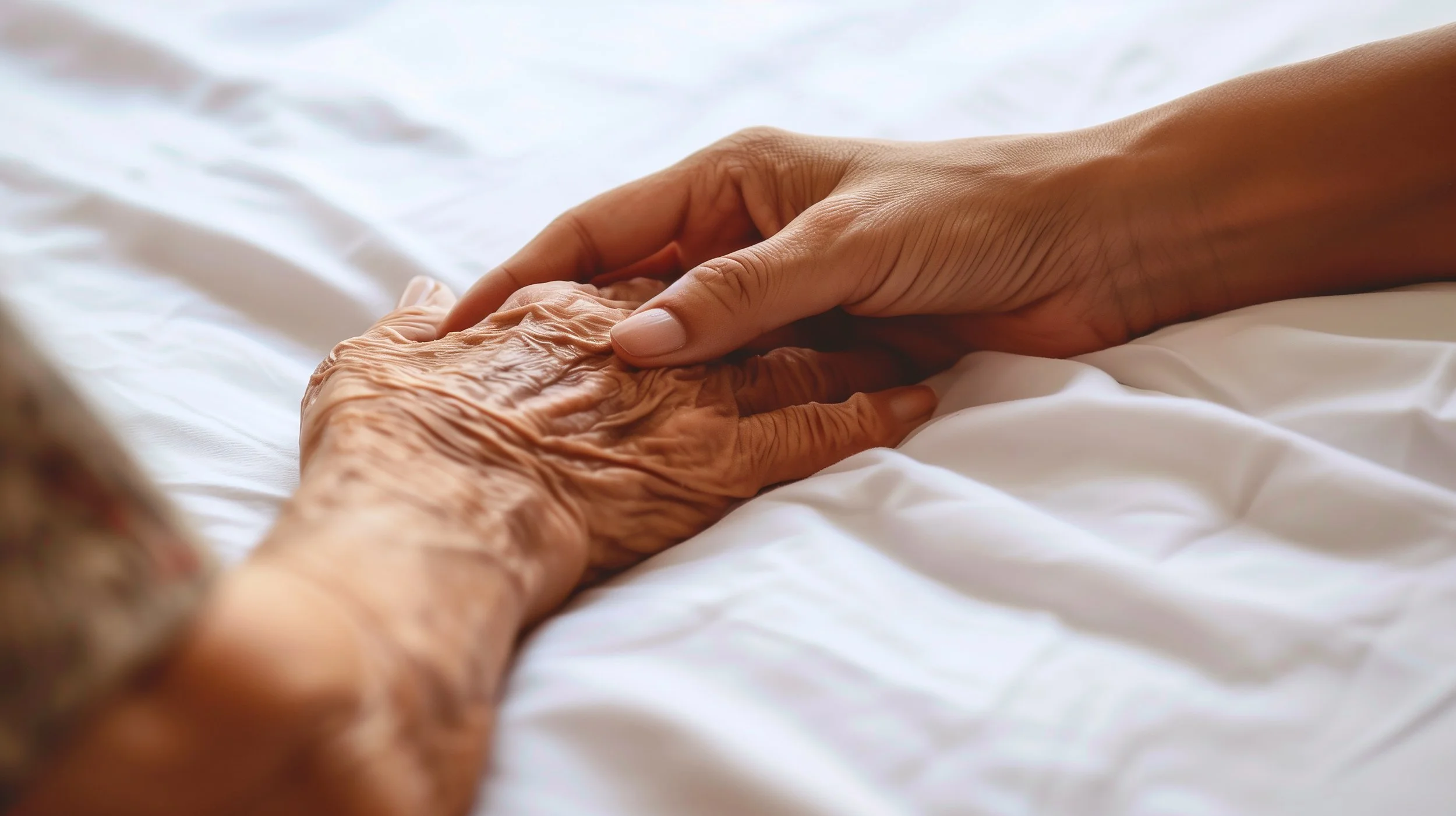 Living Wills: What They Are and Frequently Asked Questions