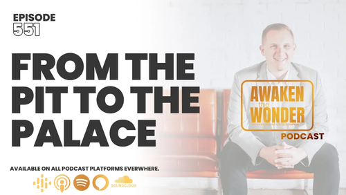 From The Pit To The Palace