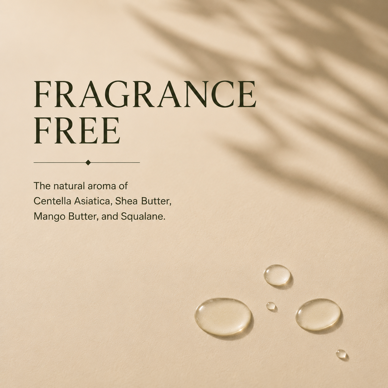 A532ABF6-8C7D-40ED-871C-DDB062BA7D64.PNG