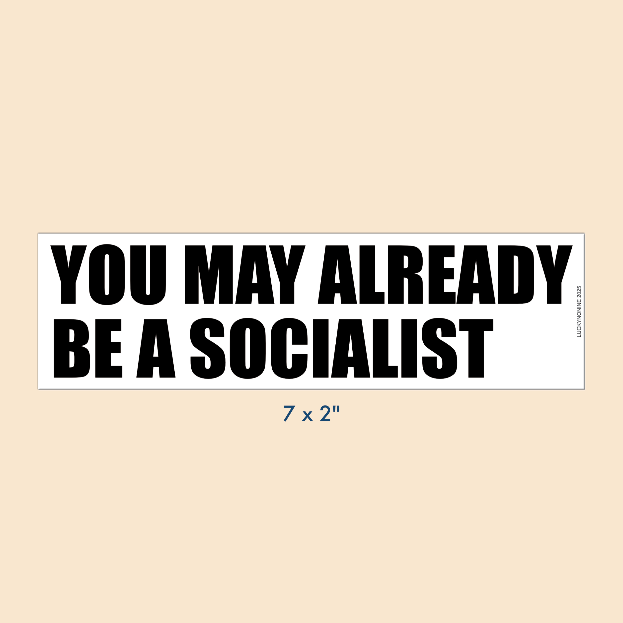 you+may+already+be+a+socialist.png
