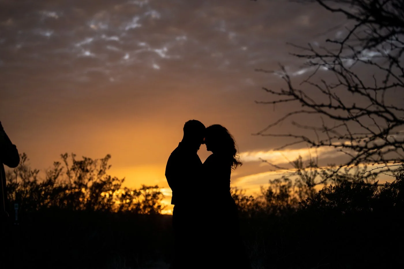 VMR_1353 BACK COVER.JPG