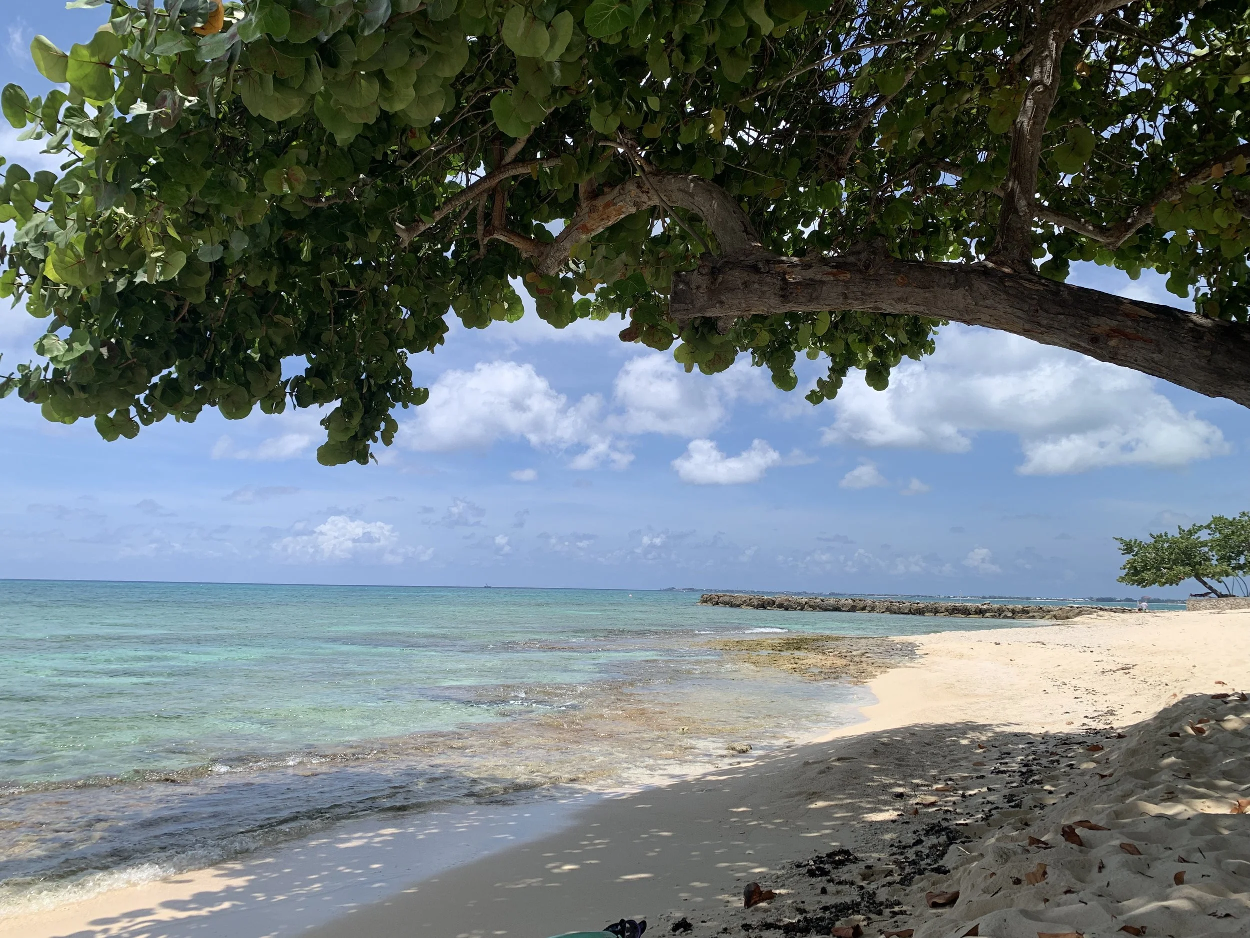 Cayman Islands, Family, Childcare, Nannying, Nanny Agency