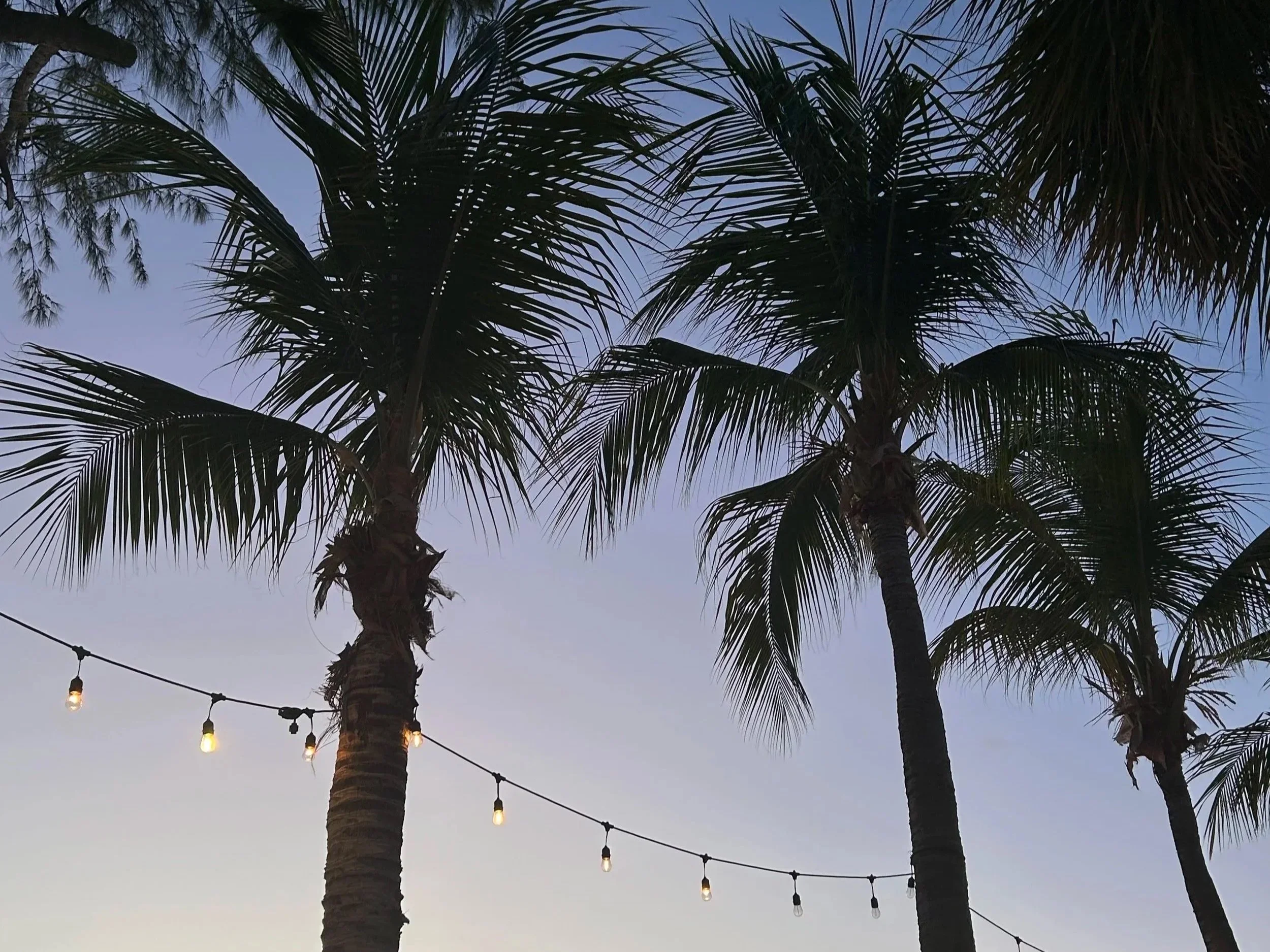 Cayman Islands, Family, Childcare