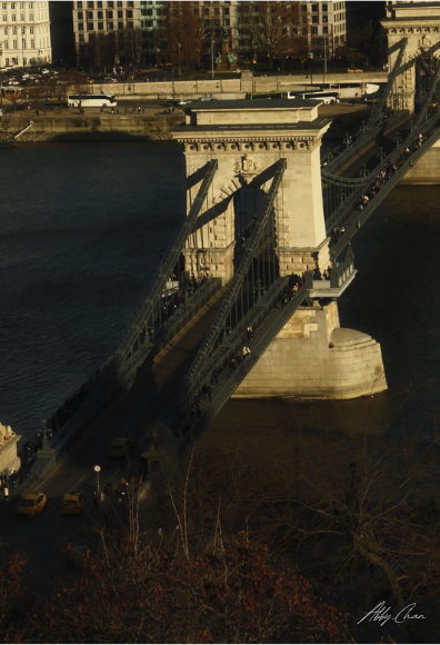 The Bridge Between Fear and Doing Was Permission