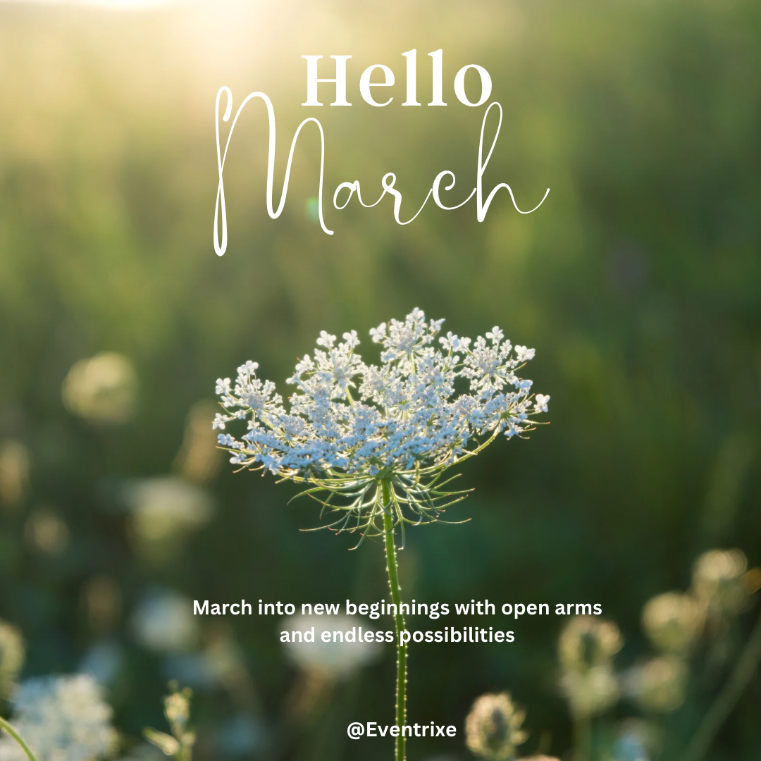 I Stopped Caring About Going Viral