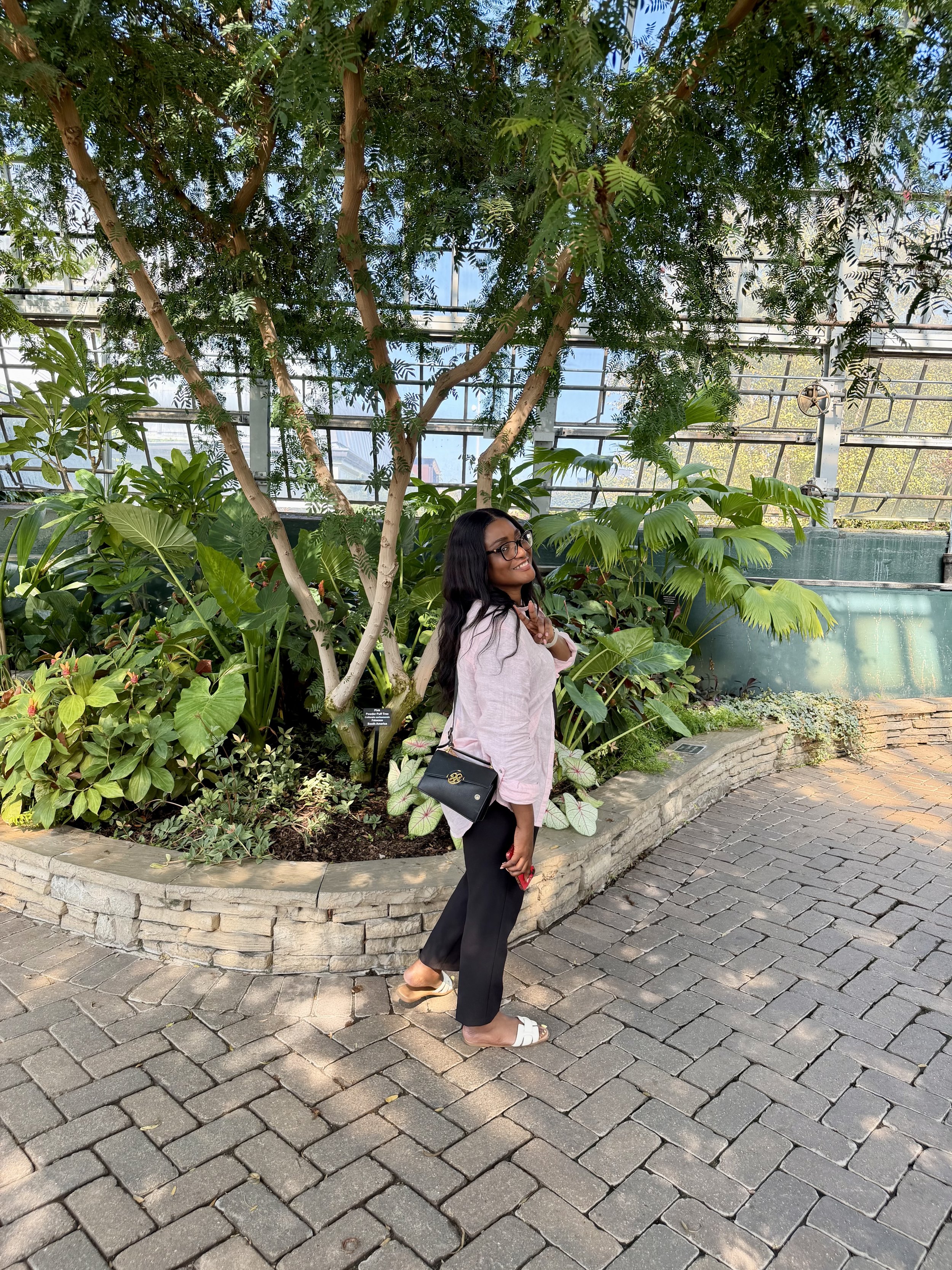 A man with dark curly hair, glasses, and a beard wearing a black knit sweater, sitting indoors near a large green plant.