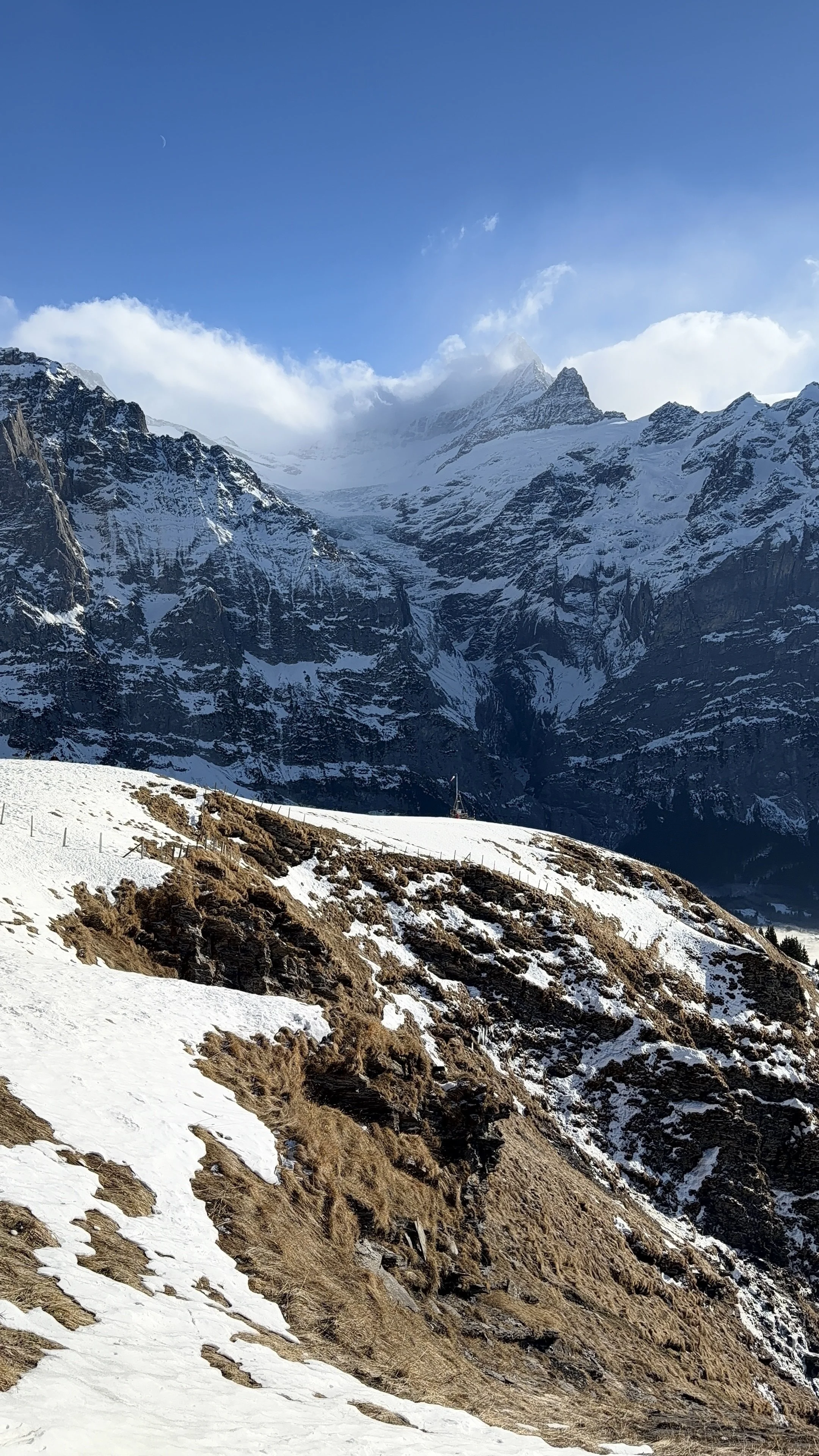 Elegant table setting with white floral centerpiece, candles, and vintage-style dishes and glassware for a formal event.