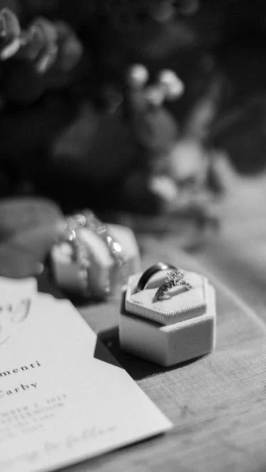 A modern house on a grassy hillside with snow-capped mountains in the background.