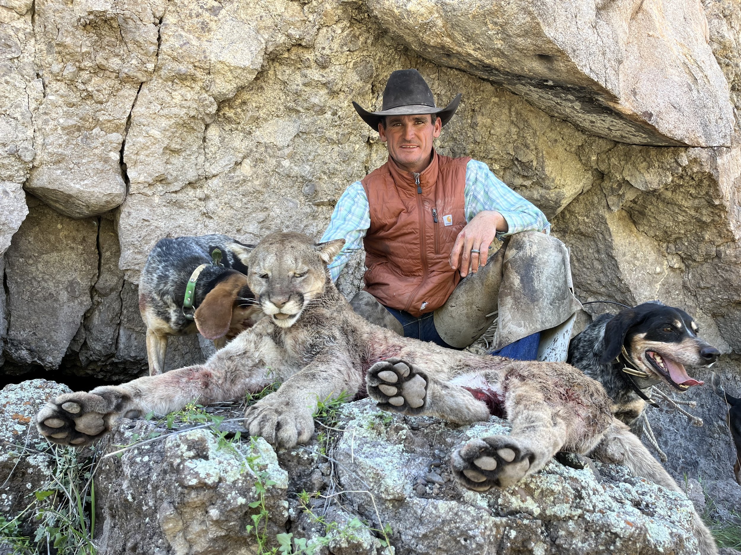 cowboy-arizona-mountain-lion-hunt.jpg