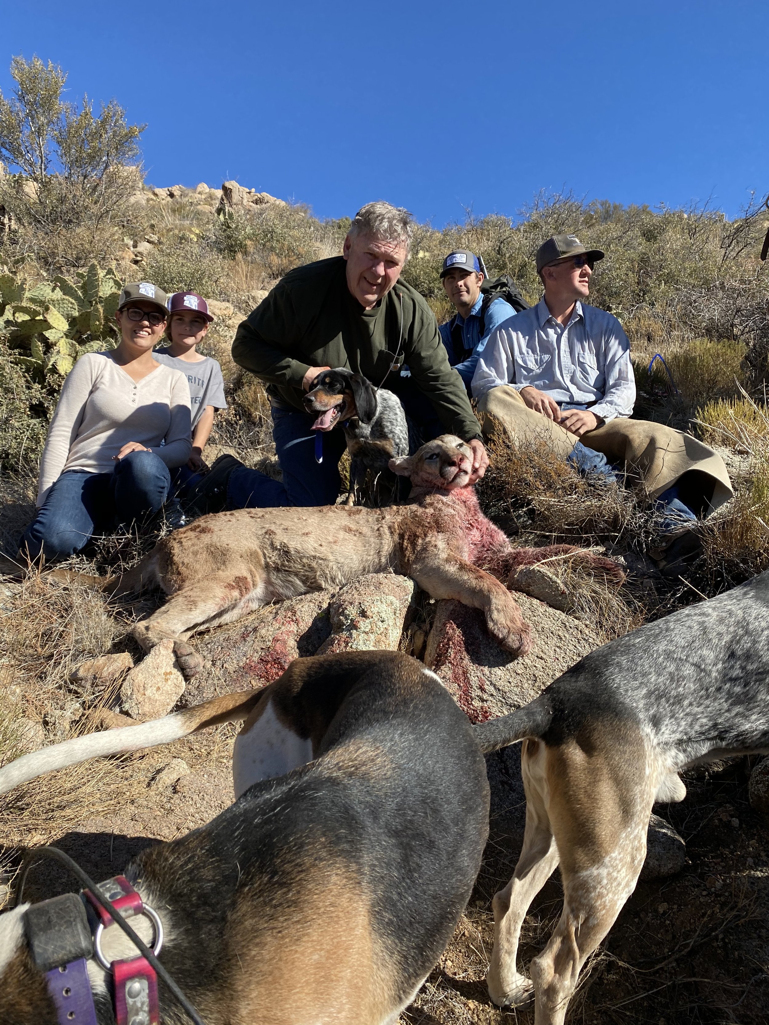 hunter-mountain-lion-harvest.jpg