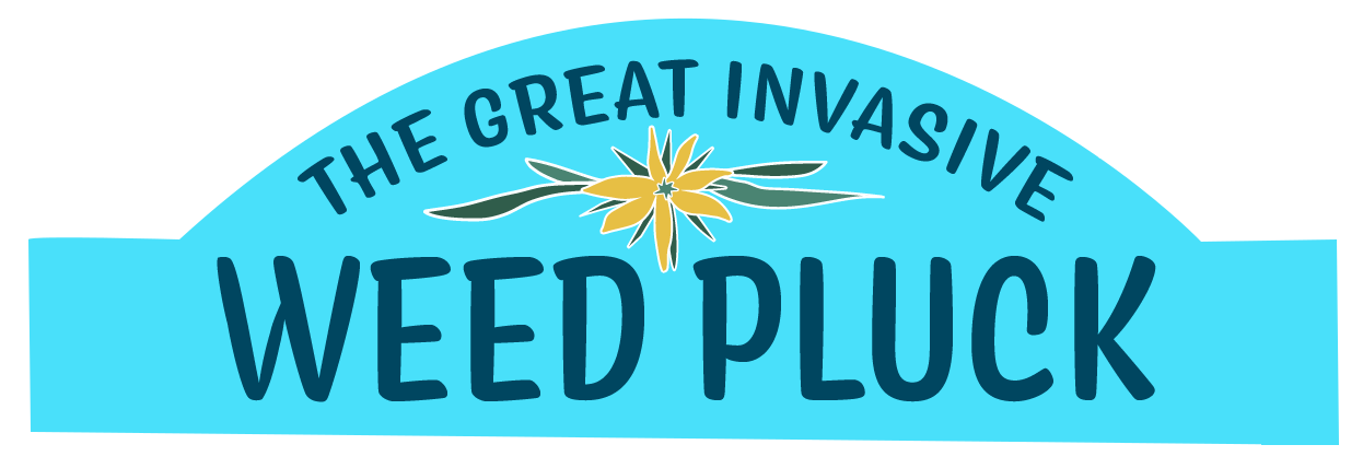 The Great Invasive Weed Pluck