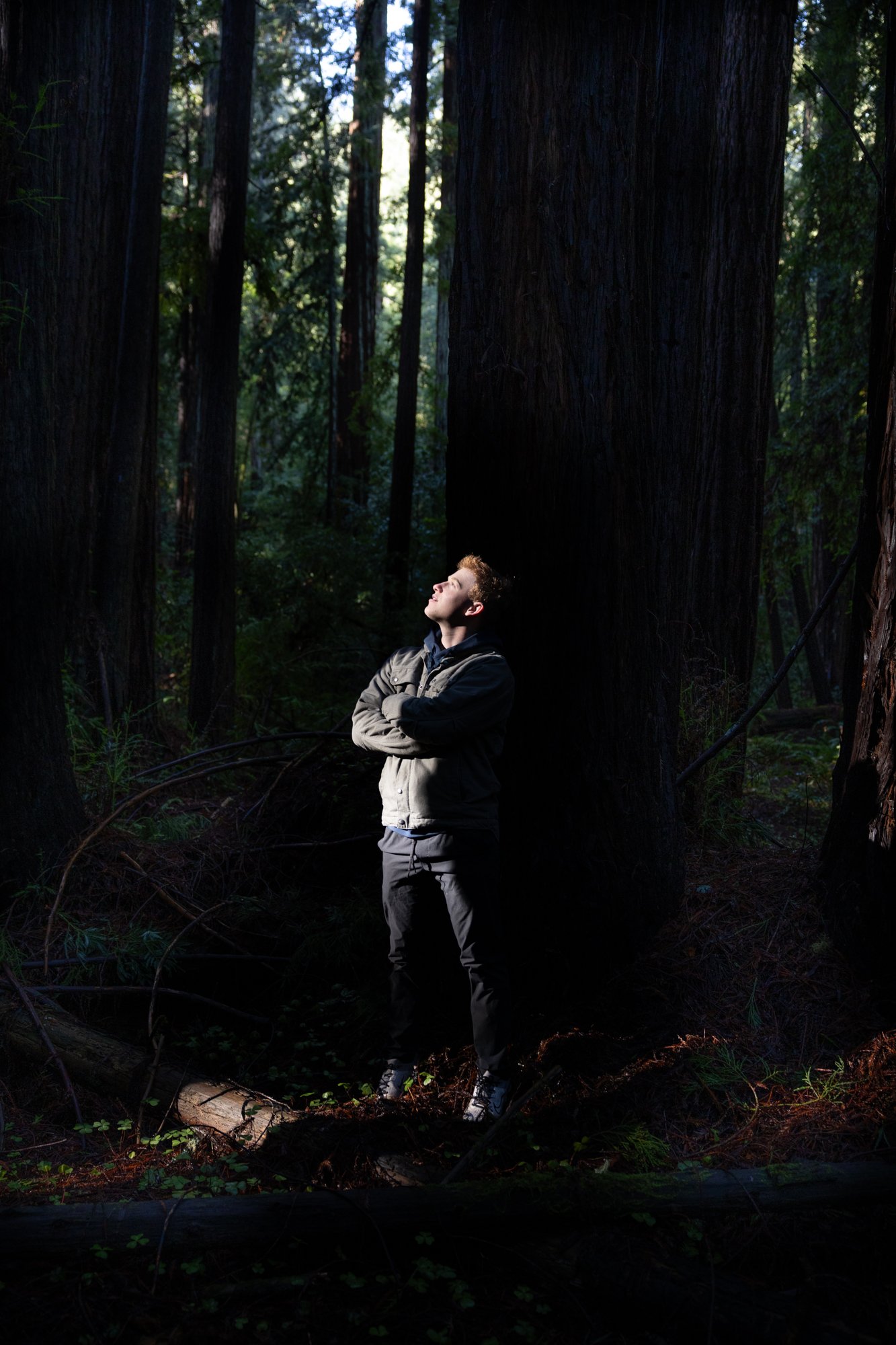 20251226-Armstrong Woods, christmas 2025-9362.jpg