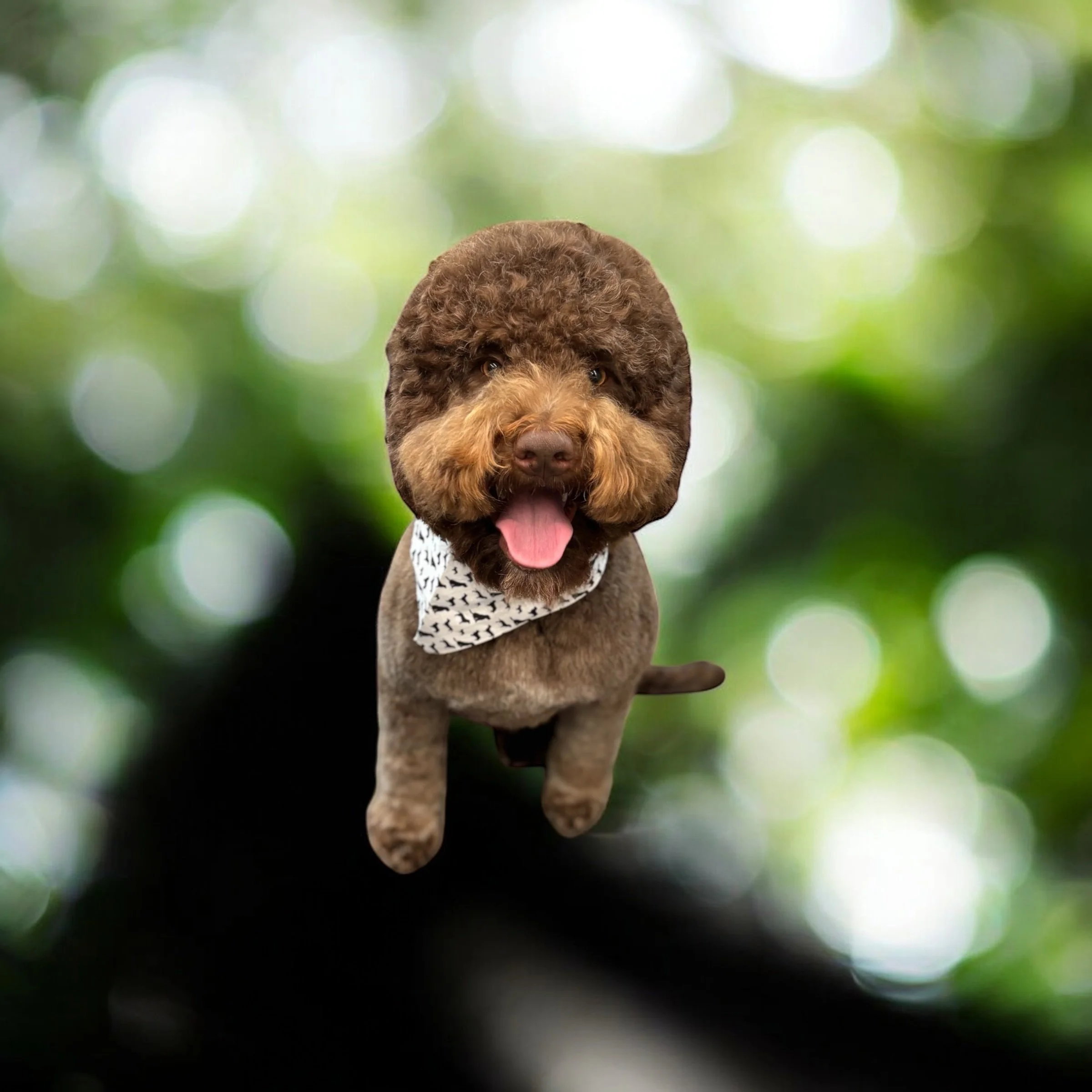 A cute dog with a curly brown face, wearing a patterned bandana, flying through a blurred green background.
