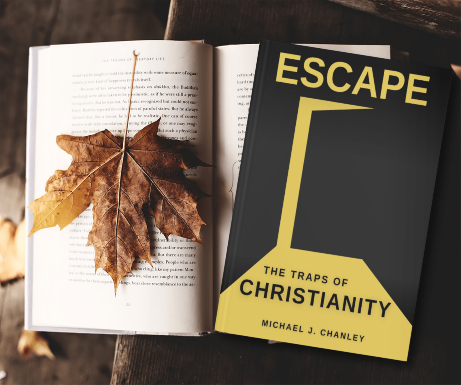 ESCAPE fall mock-00952.png