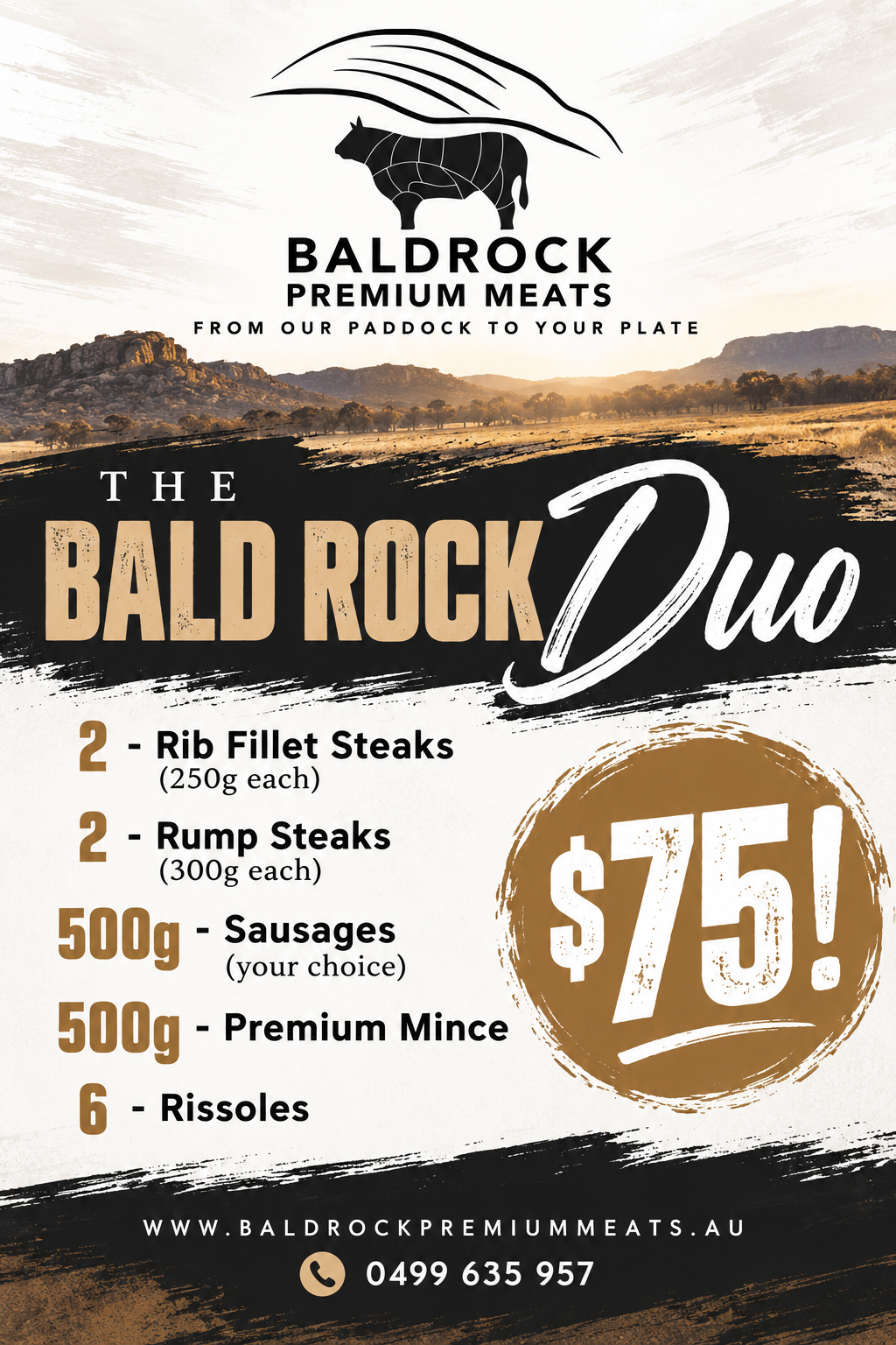The Bald Rock Duo
