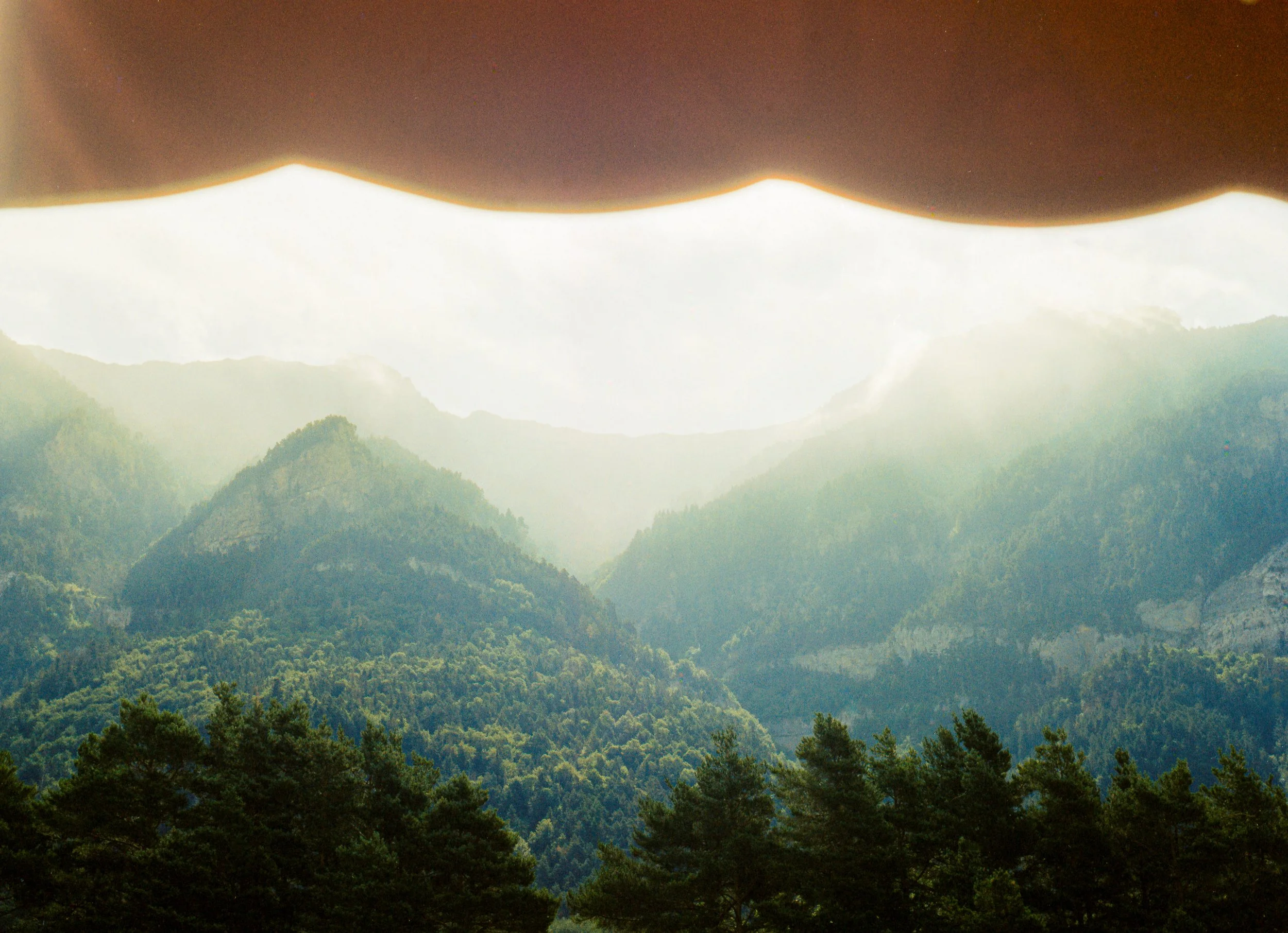 OPTICOLOR200-190725 1-positive.jpg