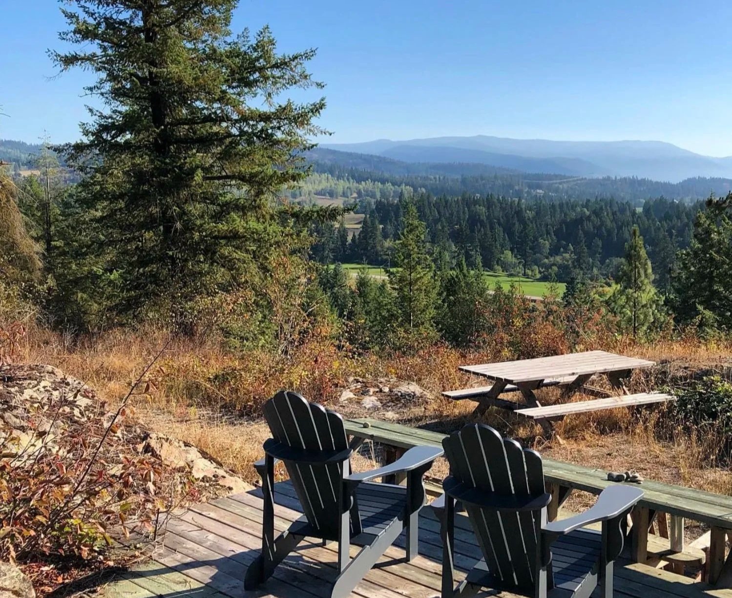 Rooted Practice: Integrating Nature-Based Therapy While Caring for the Therapist