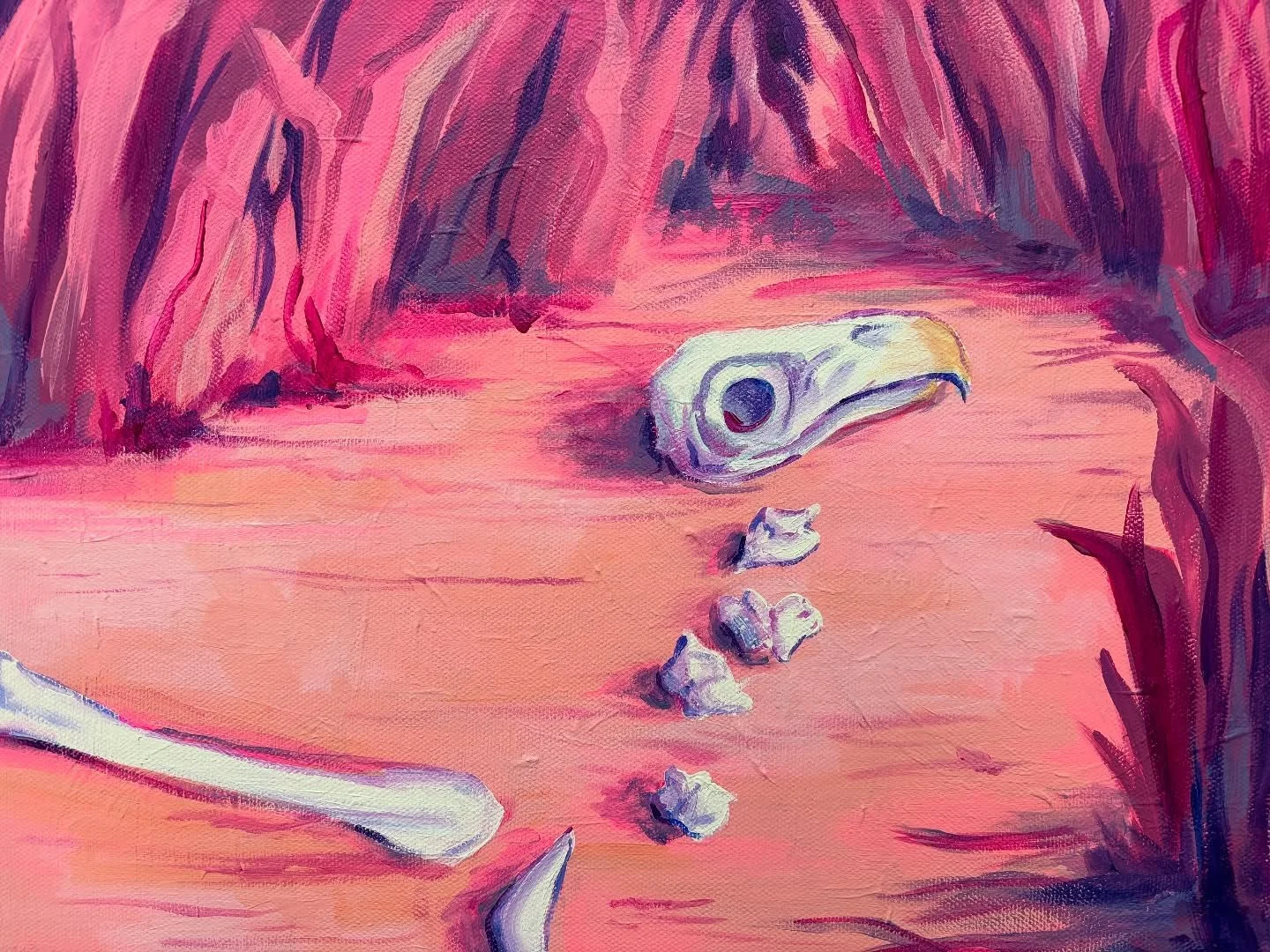 Death of the bird 🦅