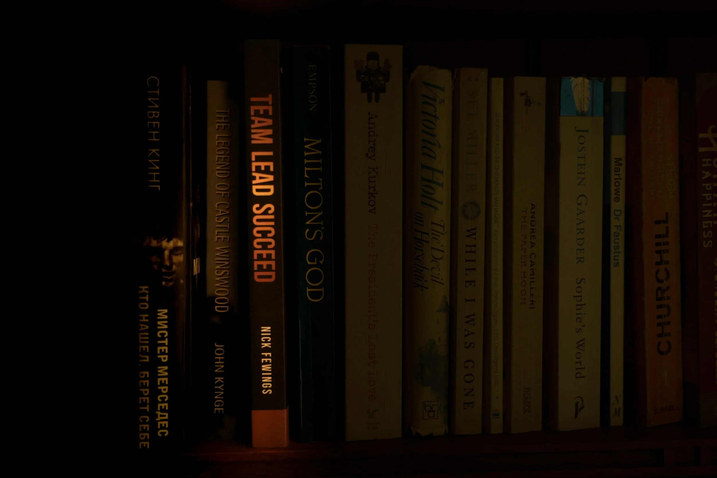 A shelf filled with various books, some titles visible including "Team Lead Successed," "Miltons God," and "Victoria Holt." The shelf appears dimly lit.
