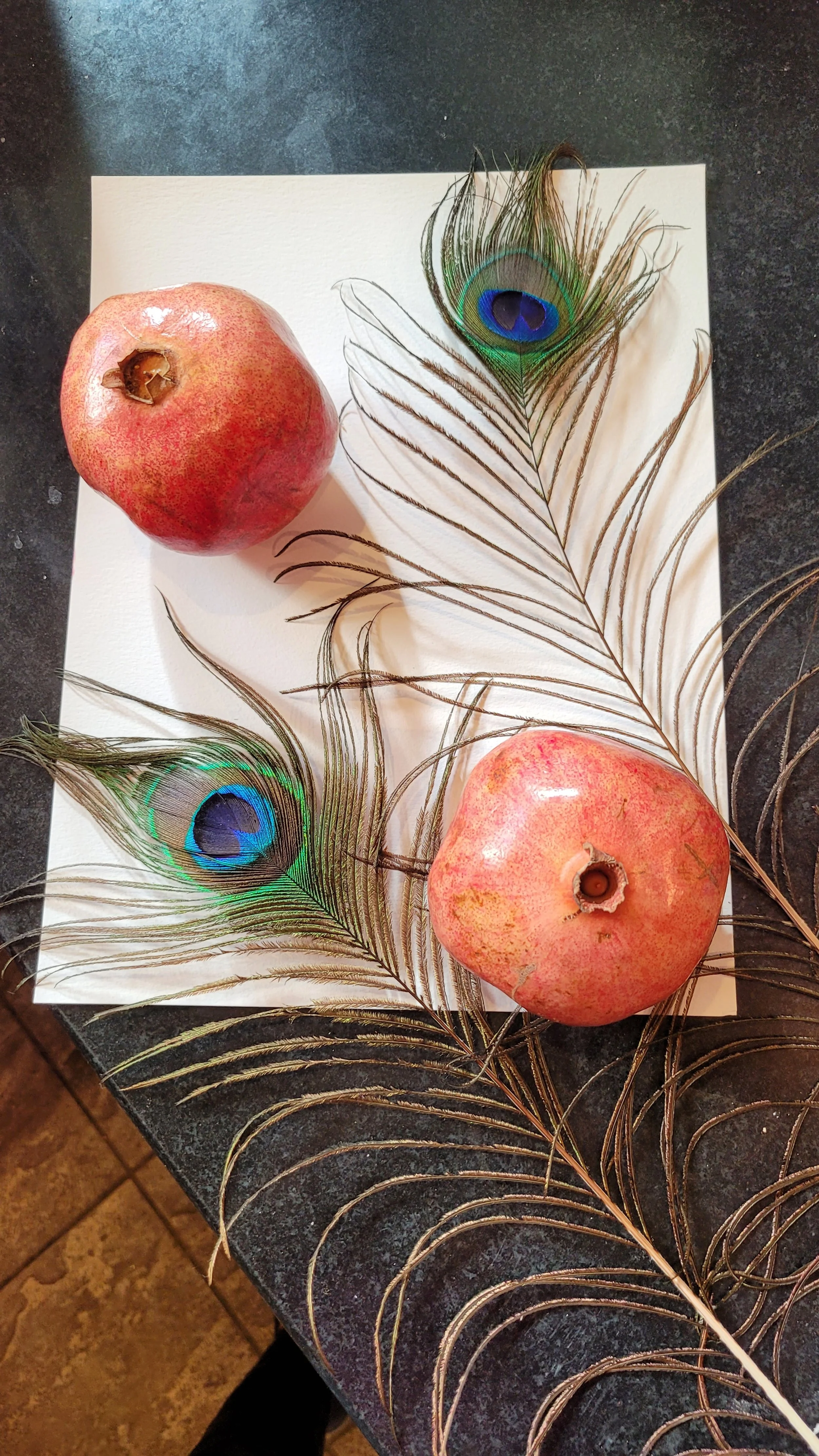 Pommes and Peas was created by accentuating the fruit's stains after imprinting, popping the seeds and letting the juices flow! Pomegranates are symbolic of fertility and often paired with peacocks in ancient artifacts revering the Roman Goddess Juno
