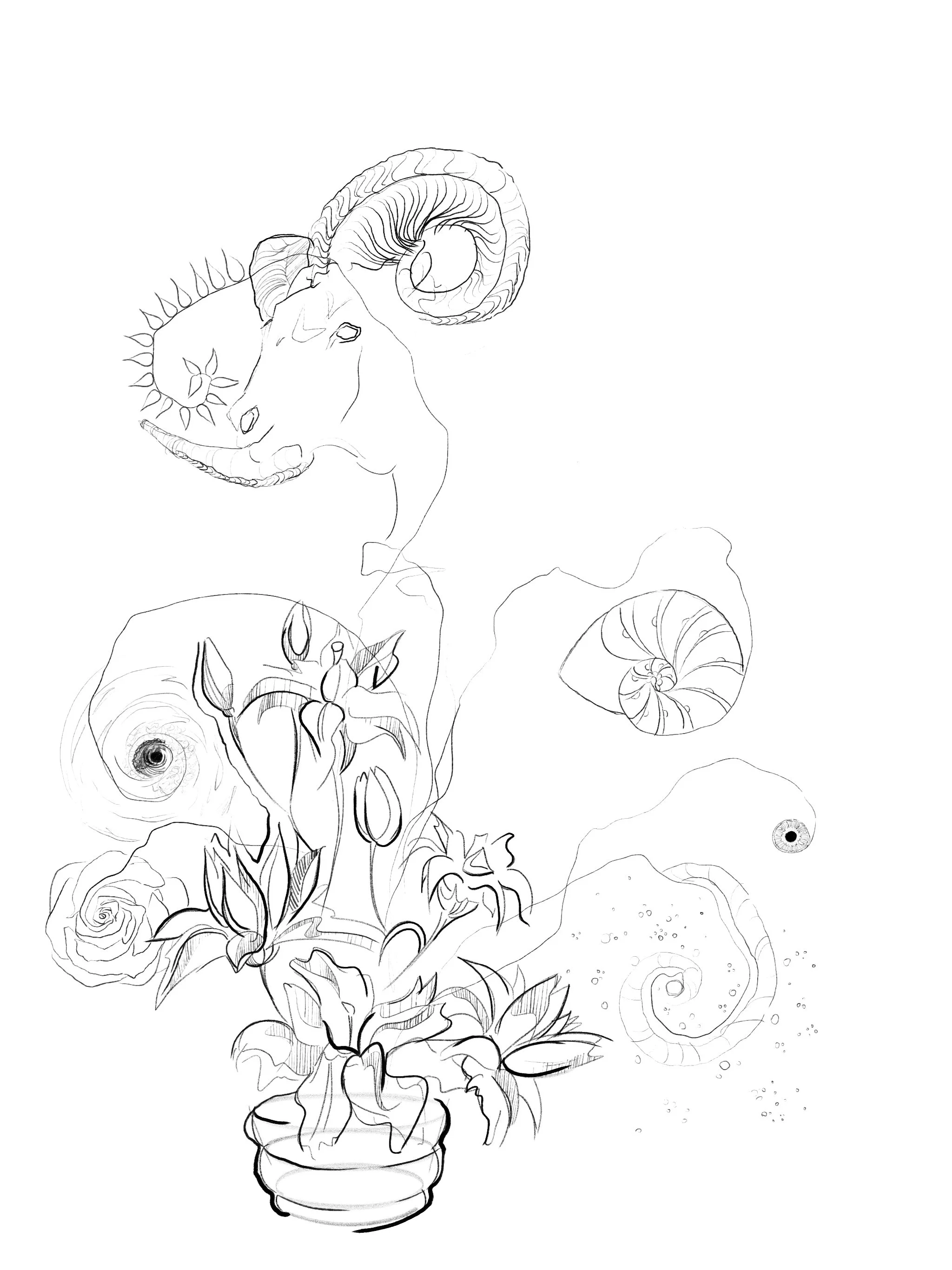 Untitled - February 21, 2026 11.40.jpg