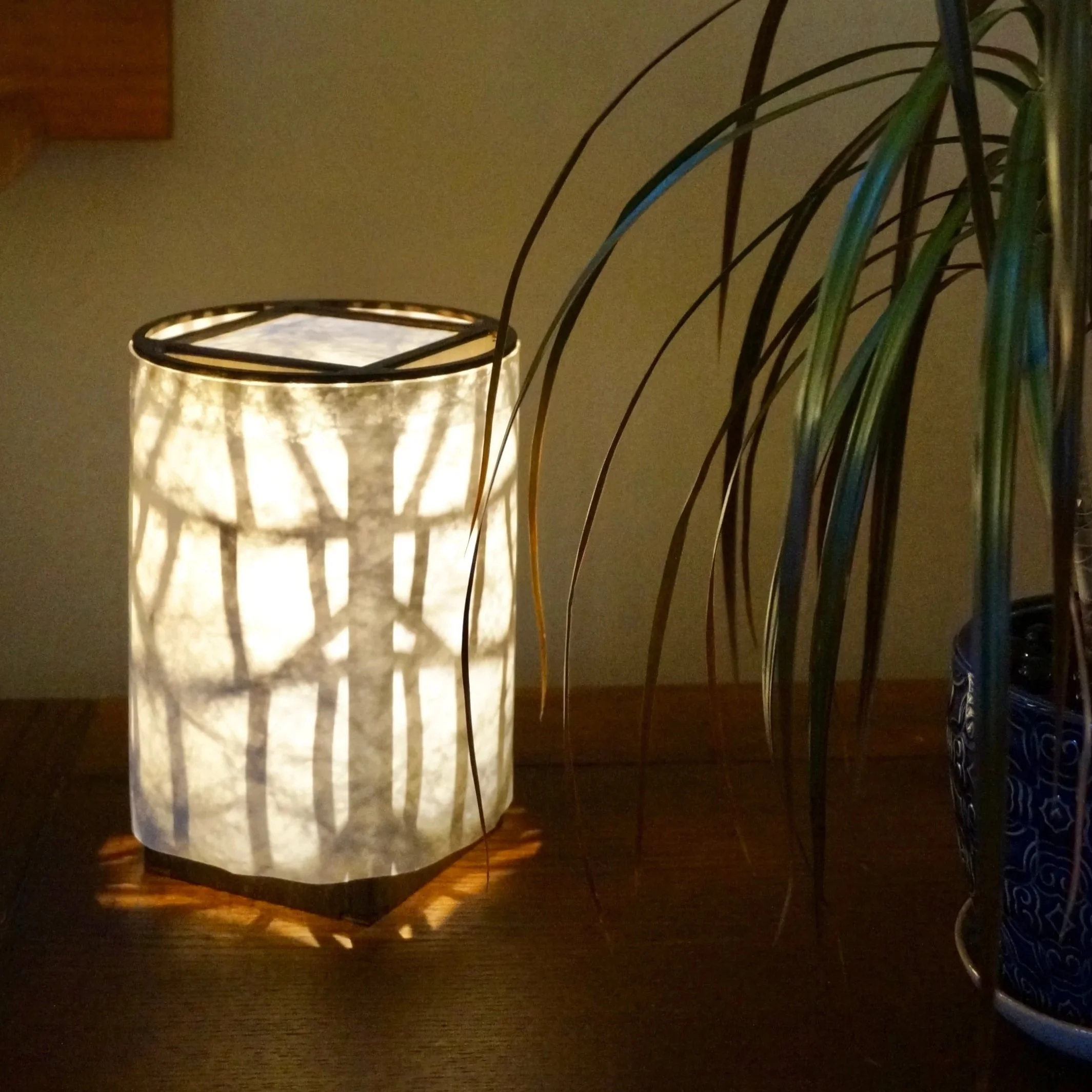 Fusion — Coming Soon