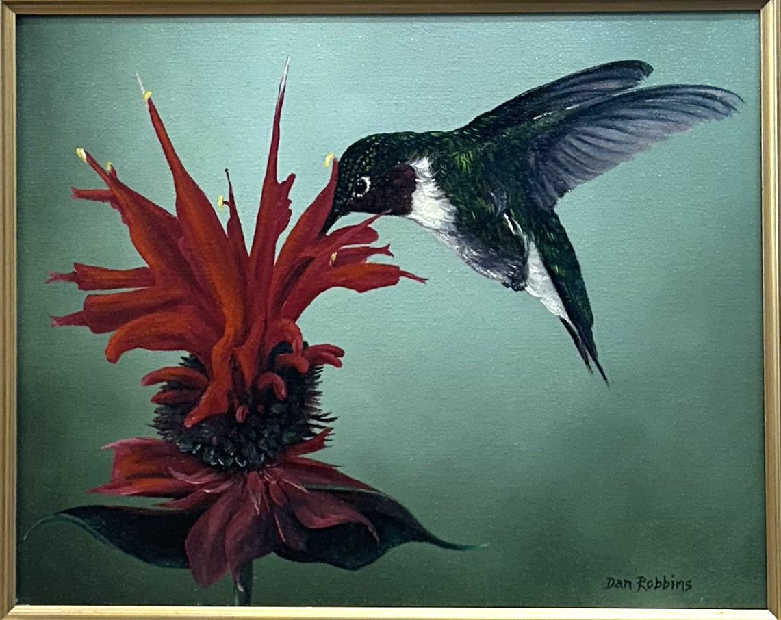 Painting of a hummingbird feeding from a bright red flower with green background, signed by Dan Robbins.