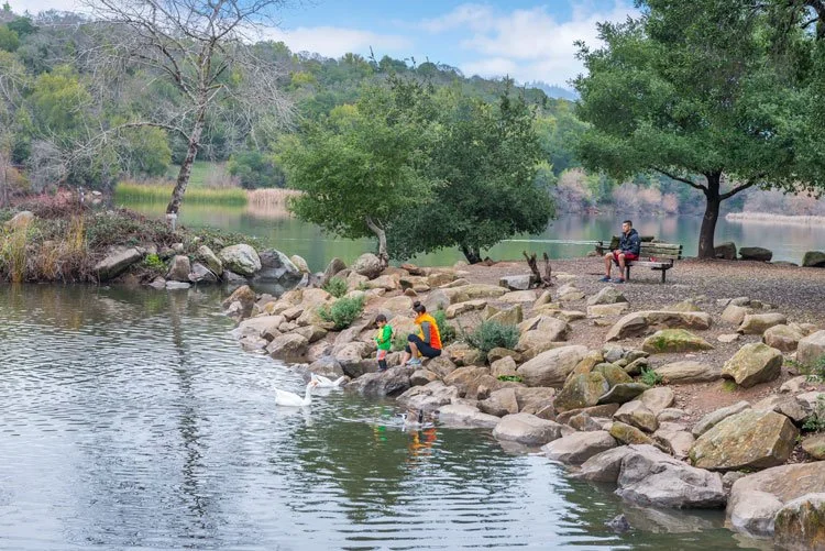 A scenic view of people by a lake, with a parent and child feeding ducks on a rocky shore, and another person sitting on a bench under a tree. Surrounding the lake are trees and a clear sky.