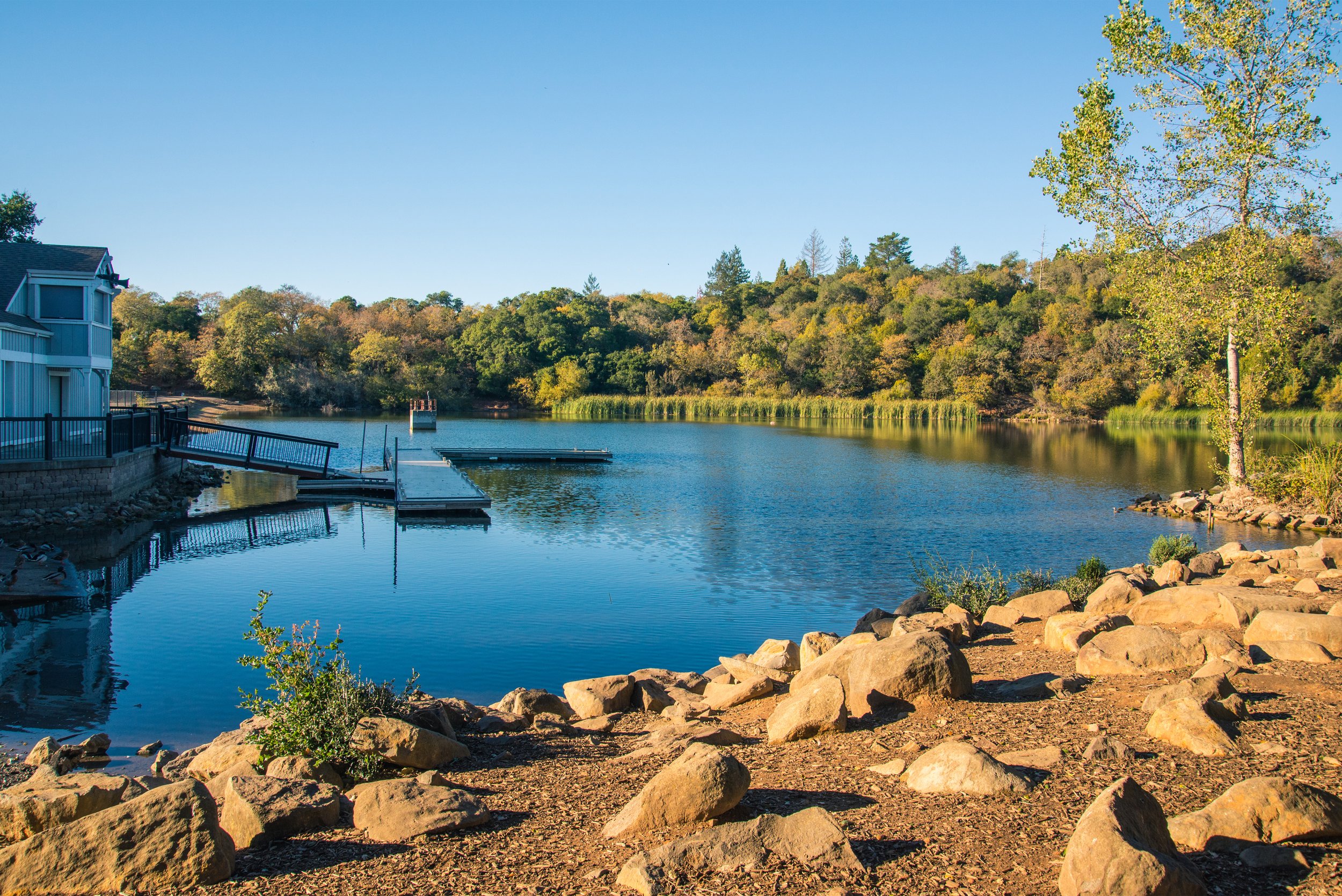 Lakeside scene with a dock, surrounded by rocky shore and trees.