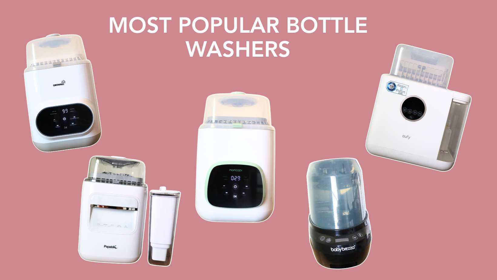 Most Popular Bottle Washers: Pros &amp; Cons