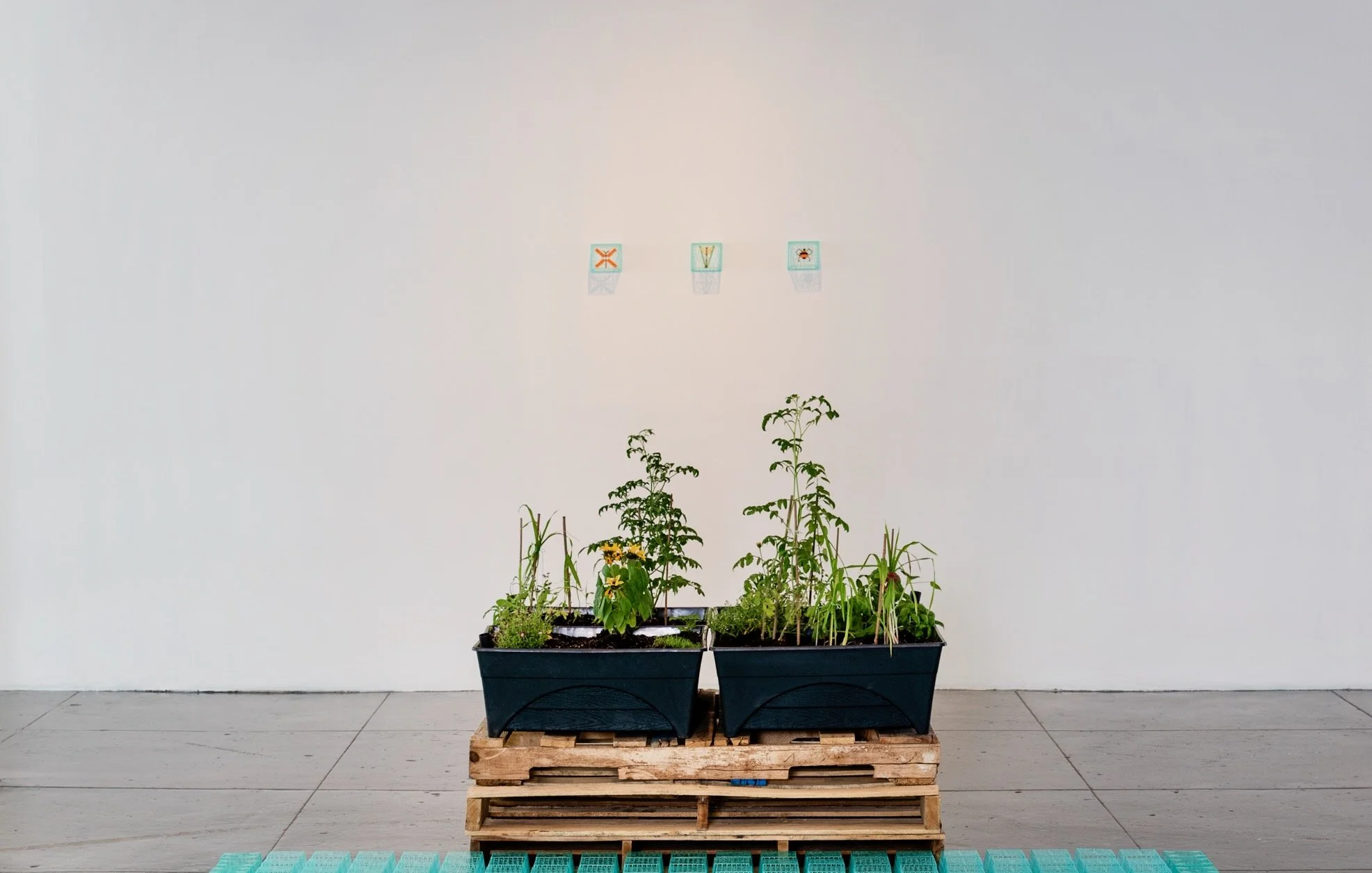 IAIR_25.1_Exhibition-Images_Laura-Veles-Drey_Beth-Devillier_19.jpeg