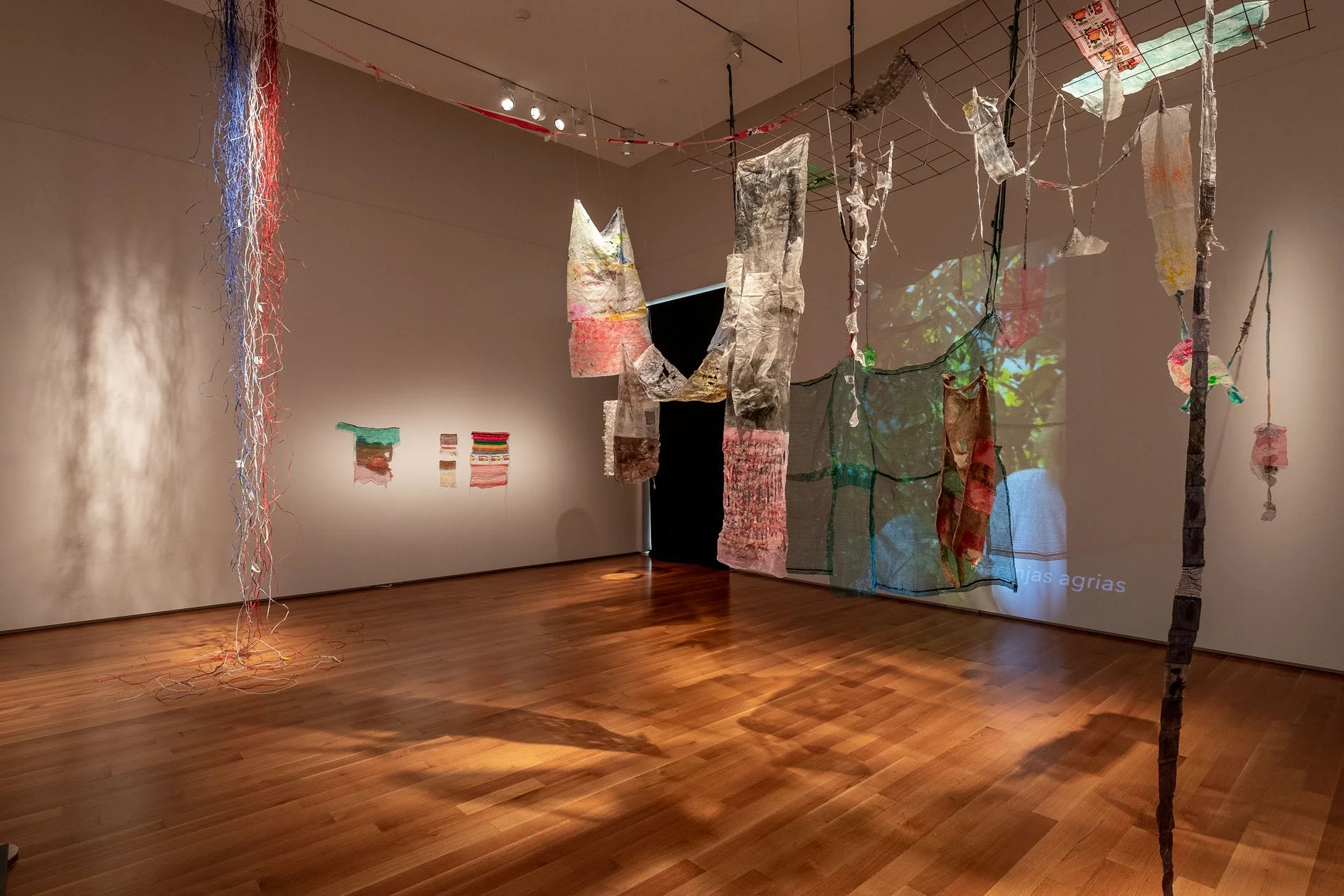 NBaker_Asia Society_210116_1924 2.jpg