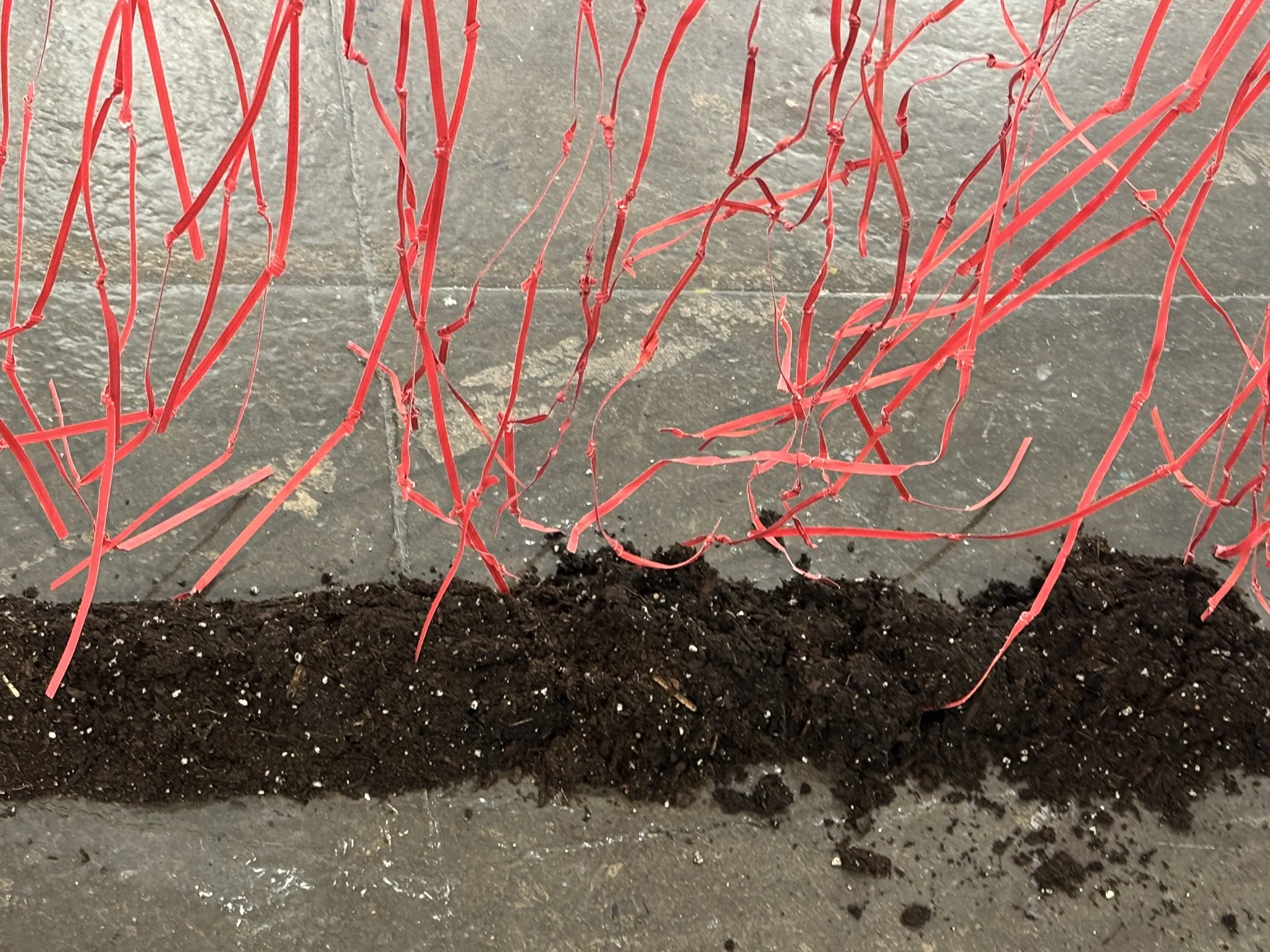 #9-2025-L Drey-Passerby American, (detail)..jpg