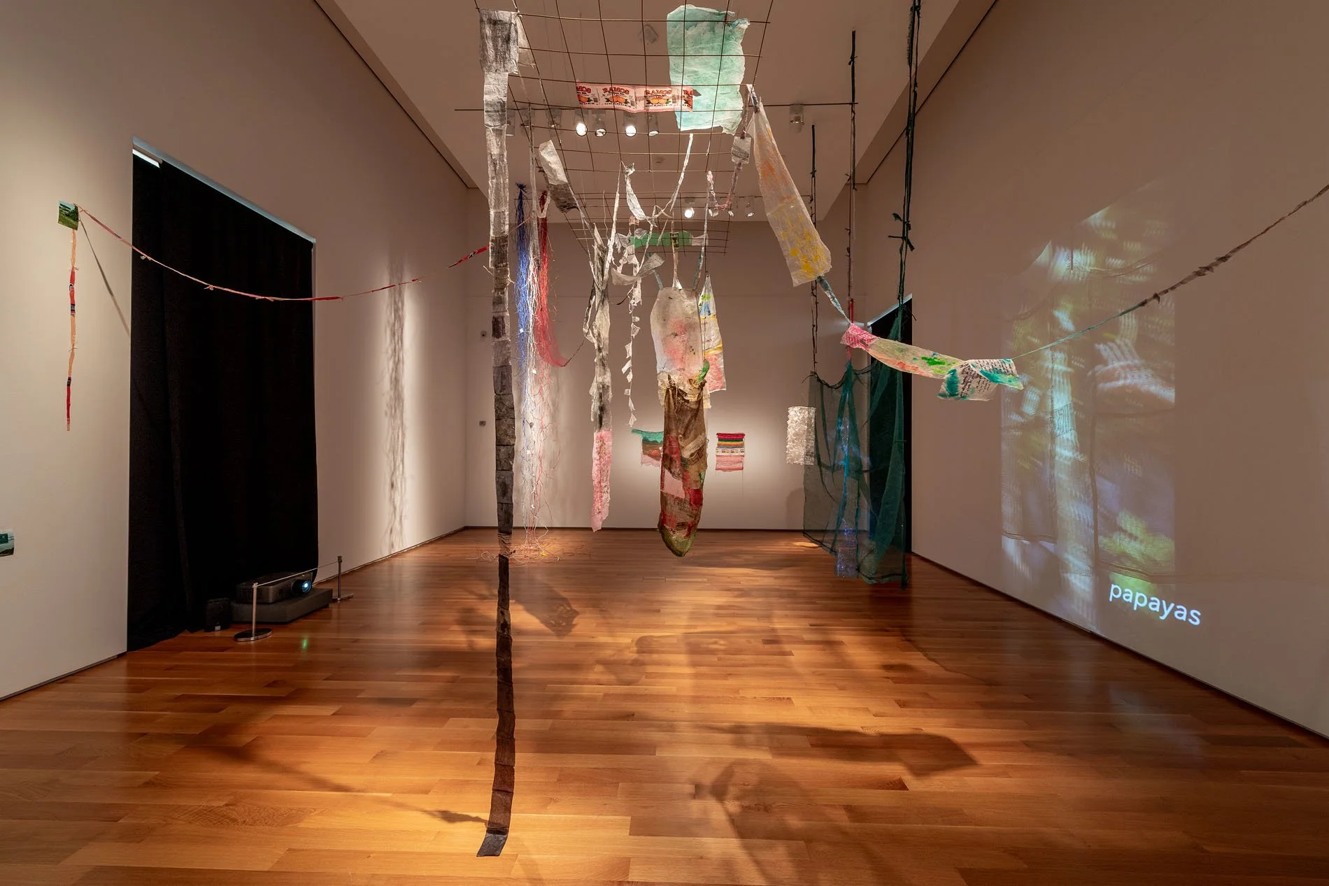 NBaker_Asia Society_210116_1858.jpg