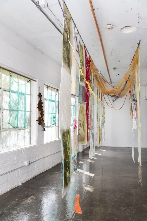 ancestral garden  side.jpg