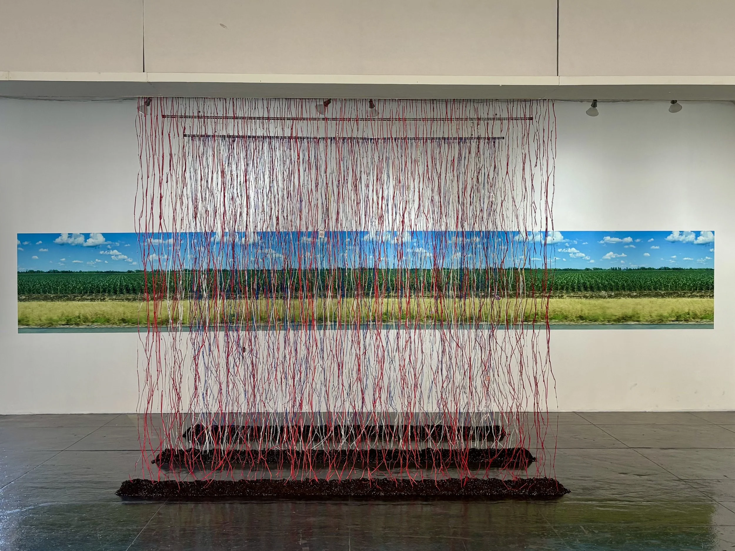 #10-2025-L Drey-Passerby Americana.jpg