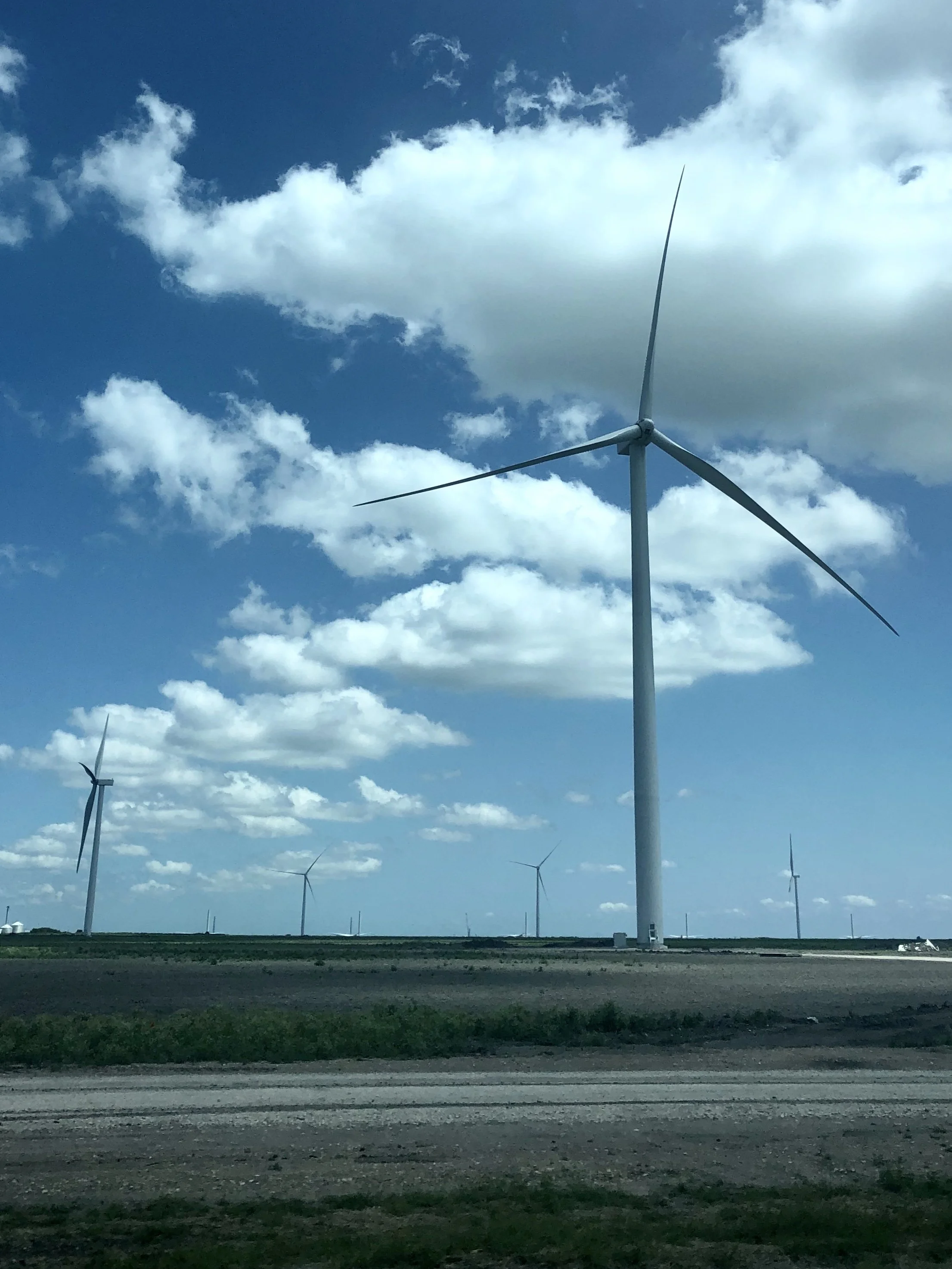 IMG_1622.jpeg