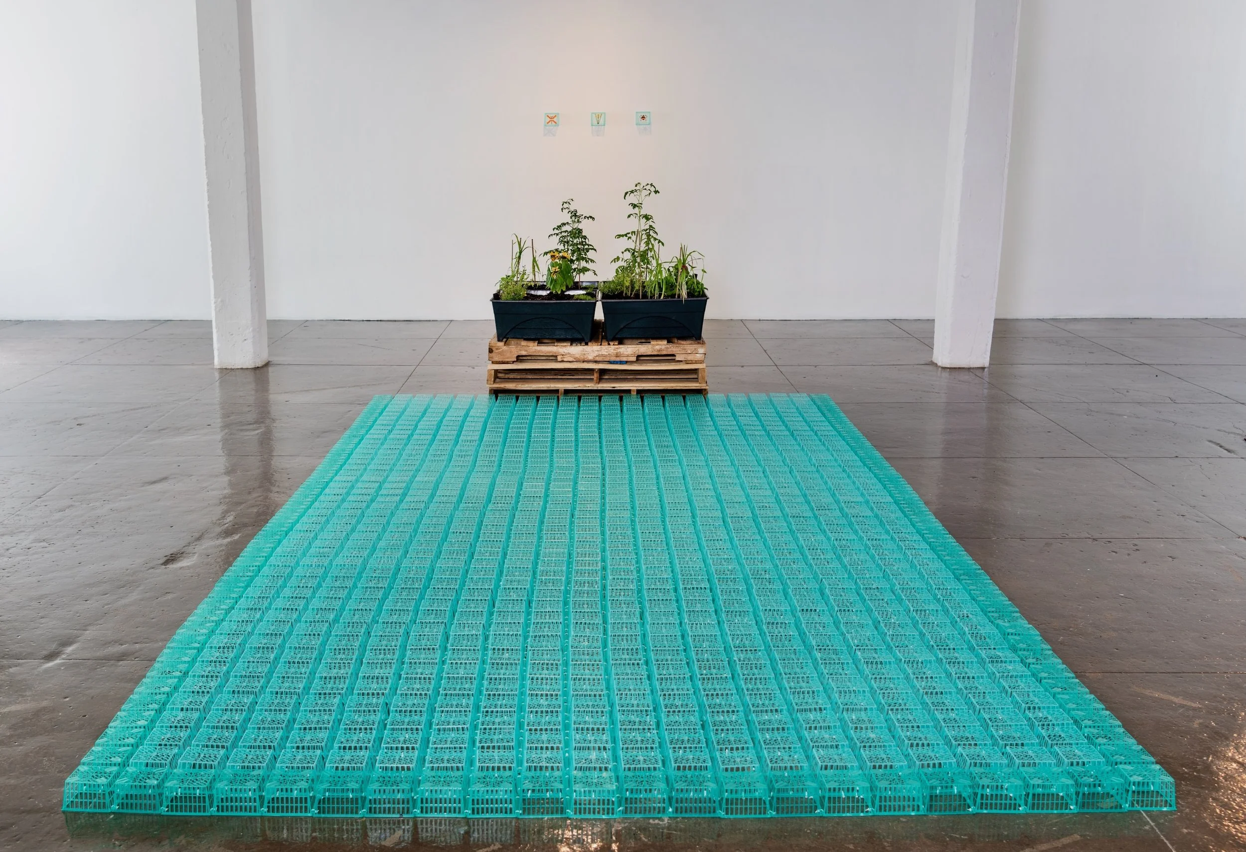 Nothing Grows In A Straight Line