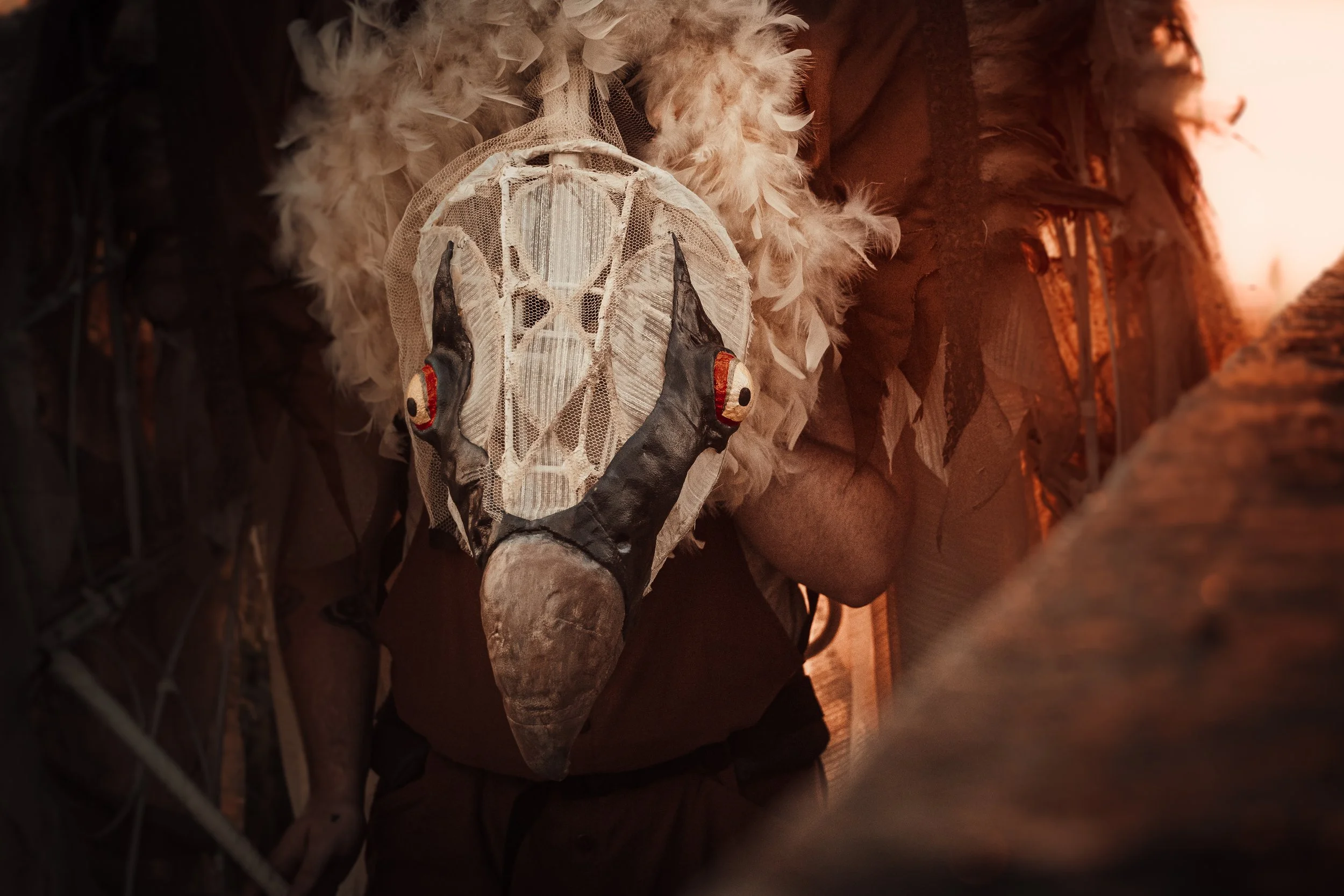 Vulture.Ezra Kiedaisch (Interlude Media).jpg