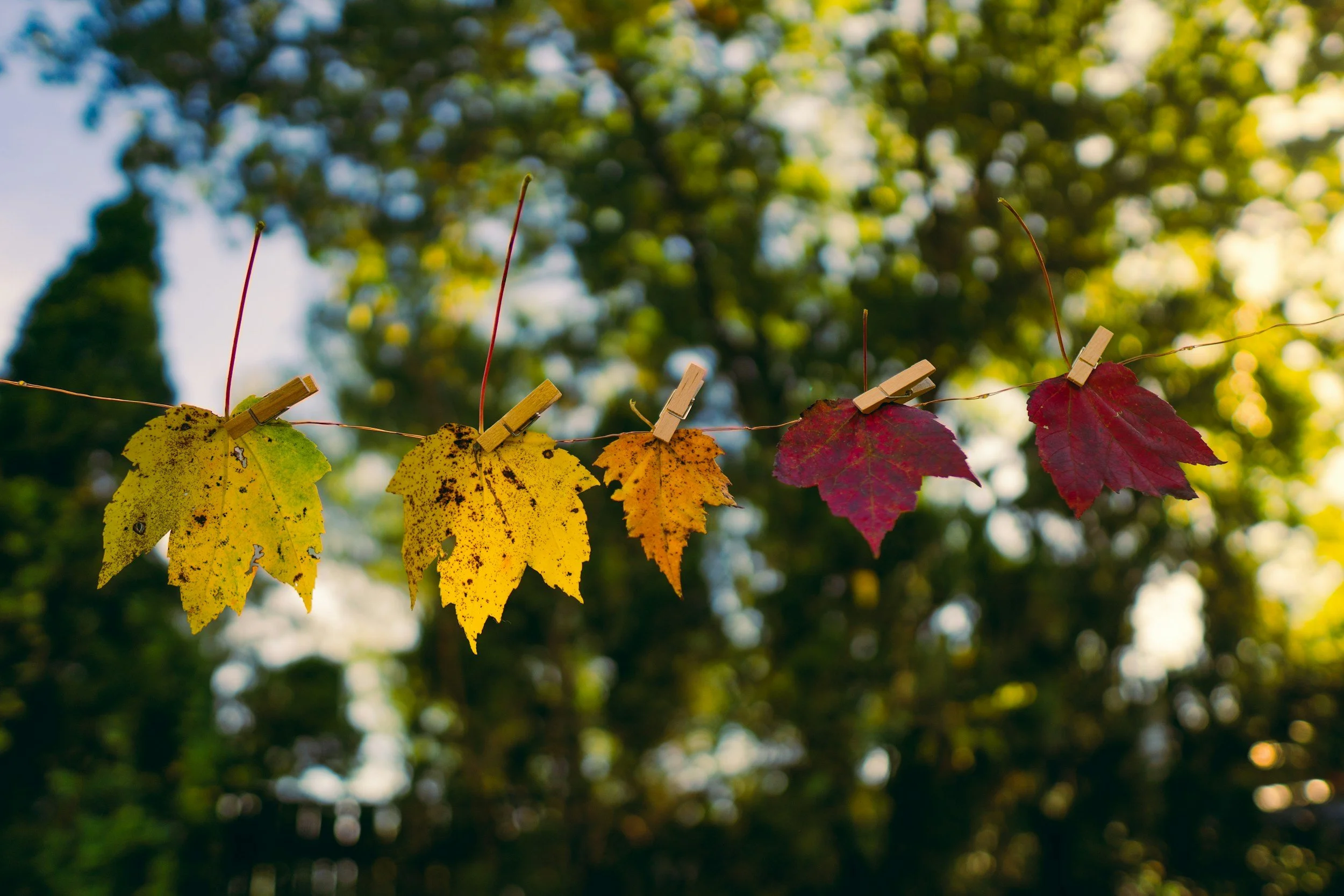 Grief and Seasons