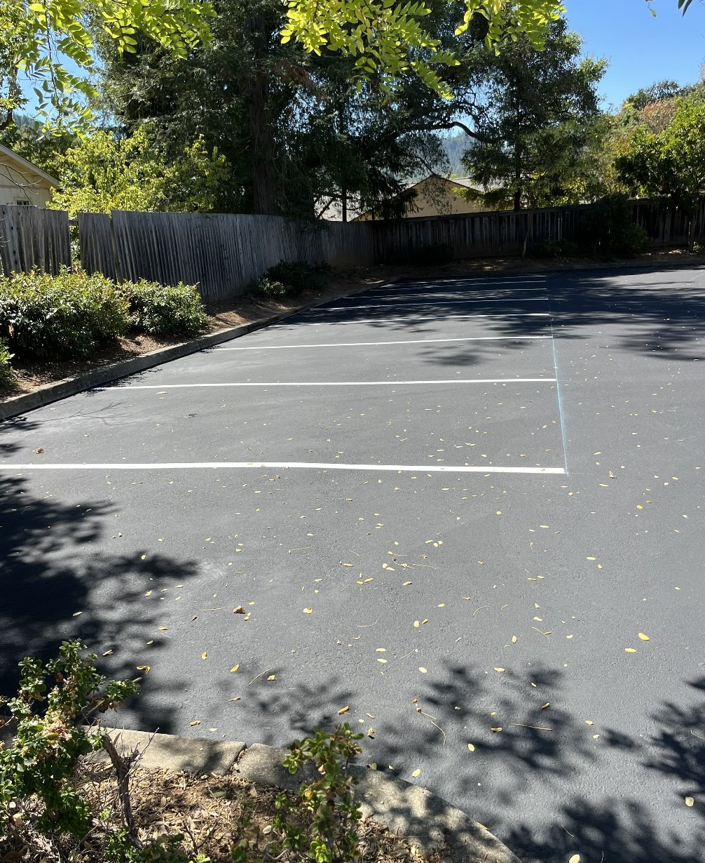 Empty parking lot with marked parking spaces, surrounded by a wooden fence and trees with shadows cast on the asphalt.