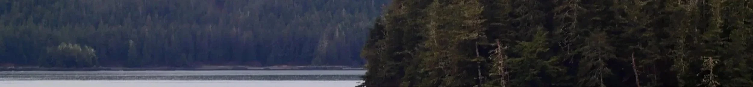 A view of the ocean with a forested shoreline and calm water, under the cloudy, Alaskan sky.