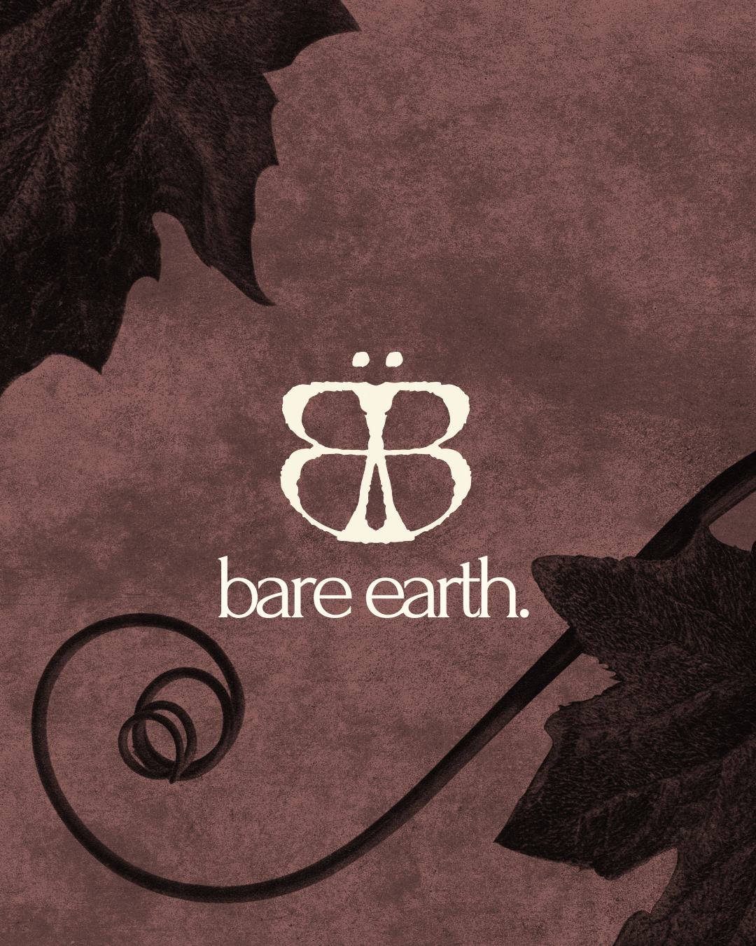 Bare Earth