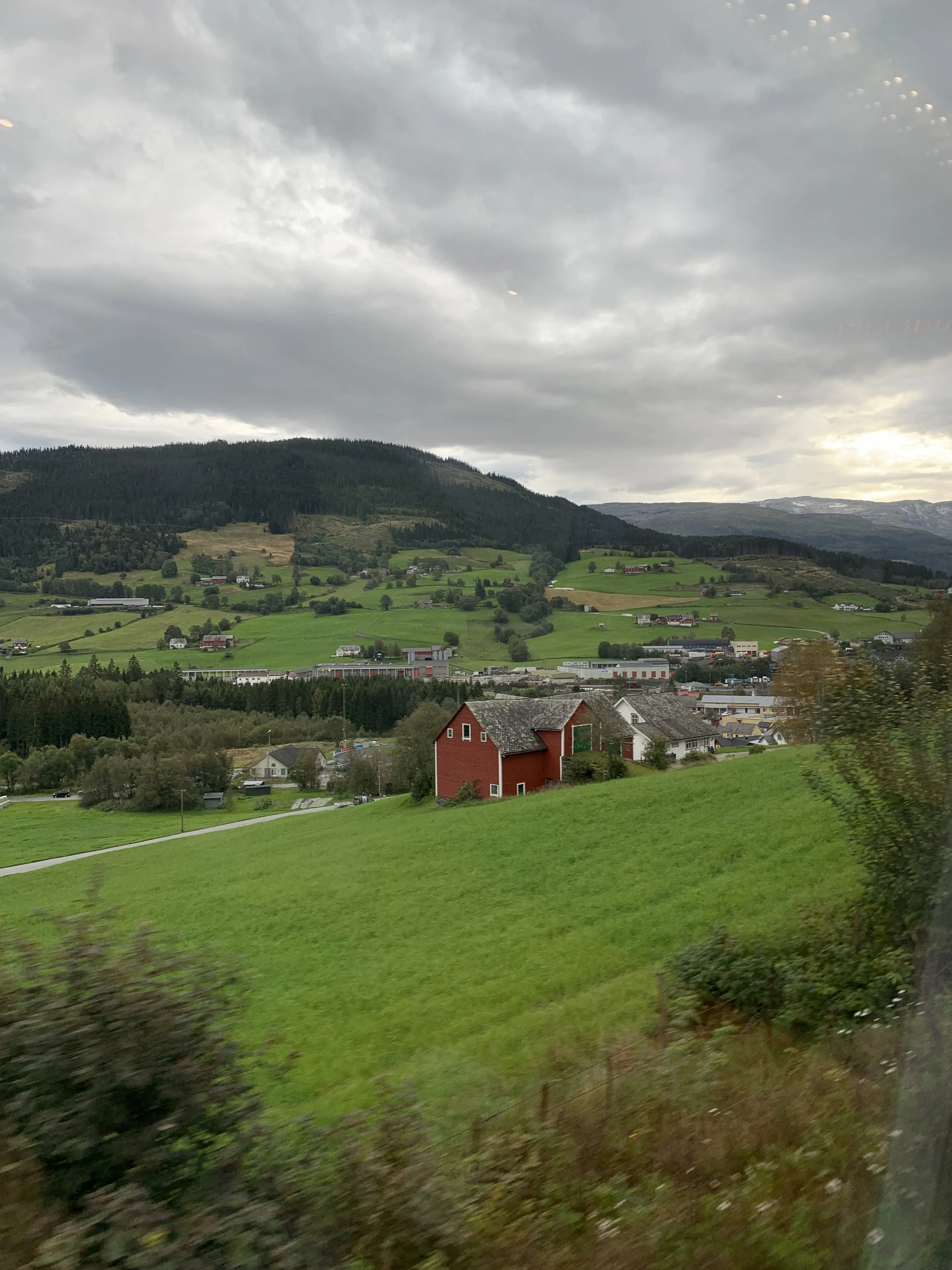 IMG_2252.jpeg