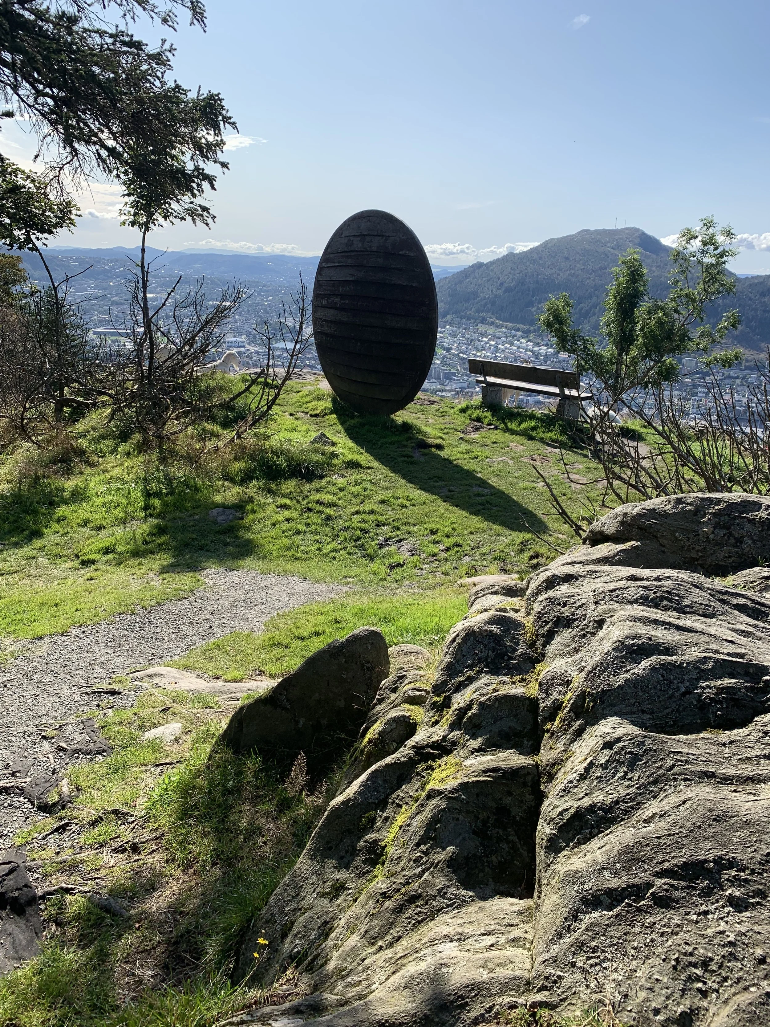 IMG_2289.jpeg