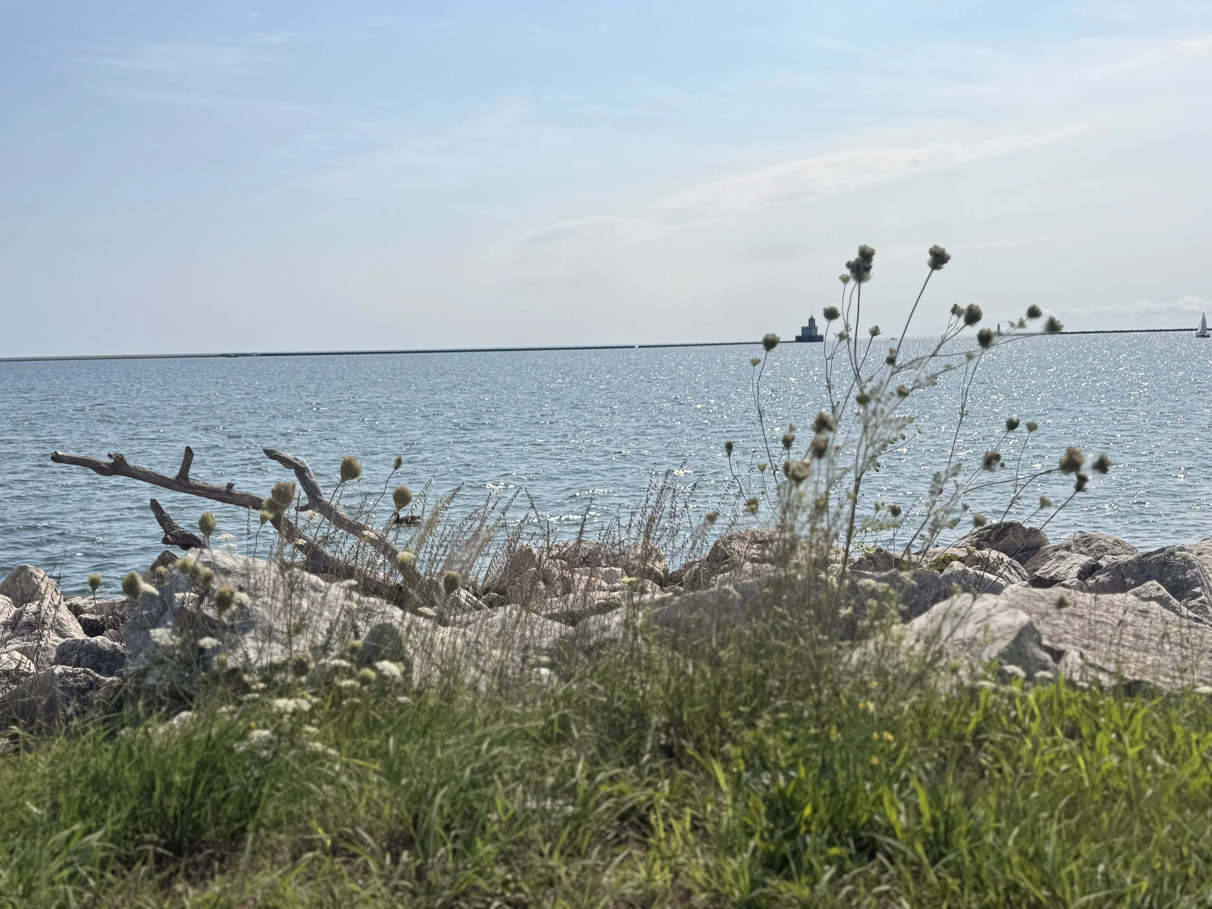 IMG_0596.jpeg