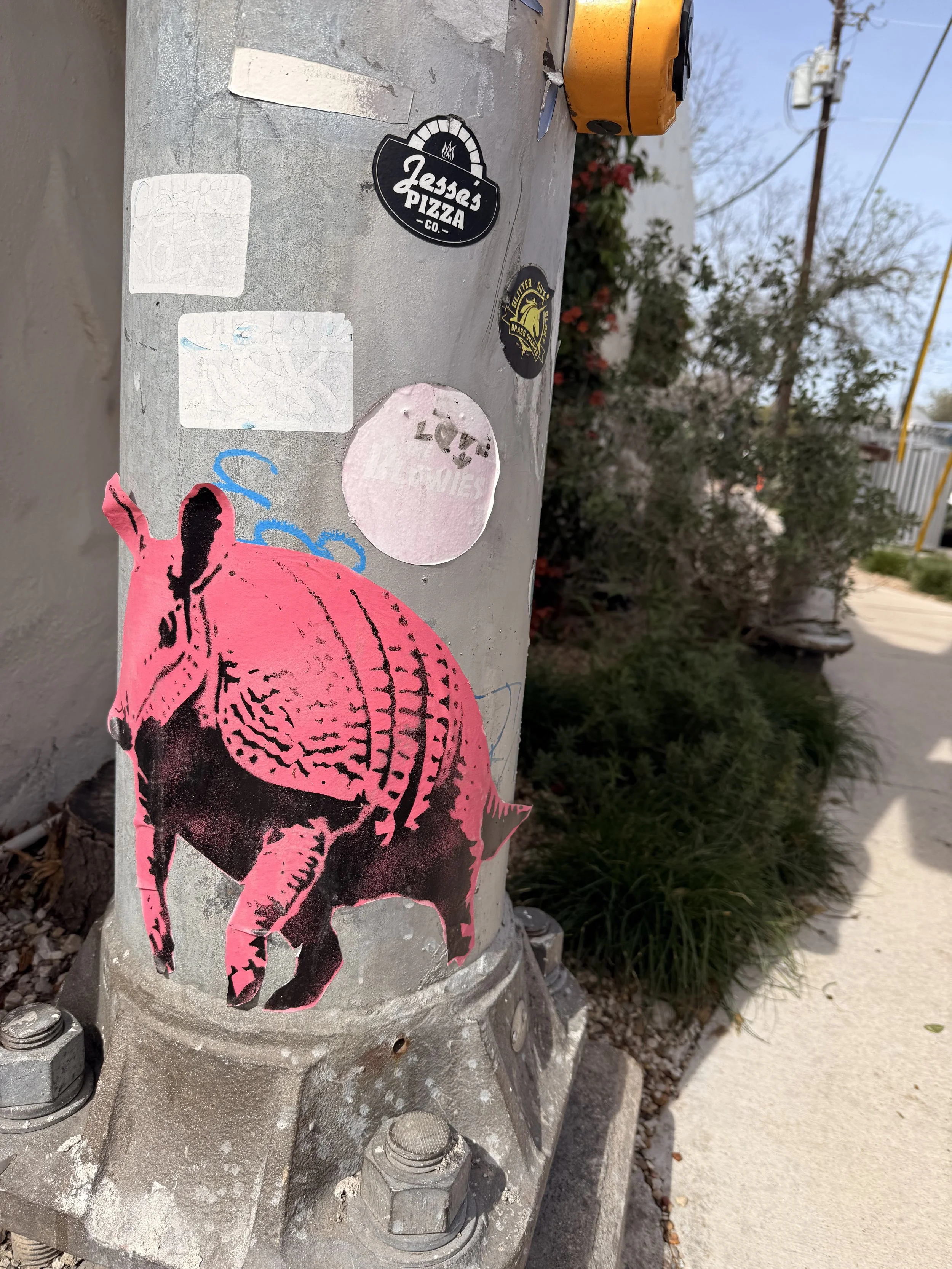 IMG_8685.jpeg